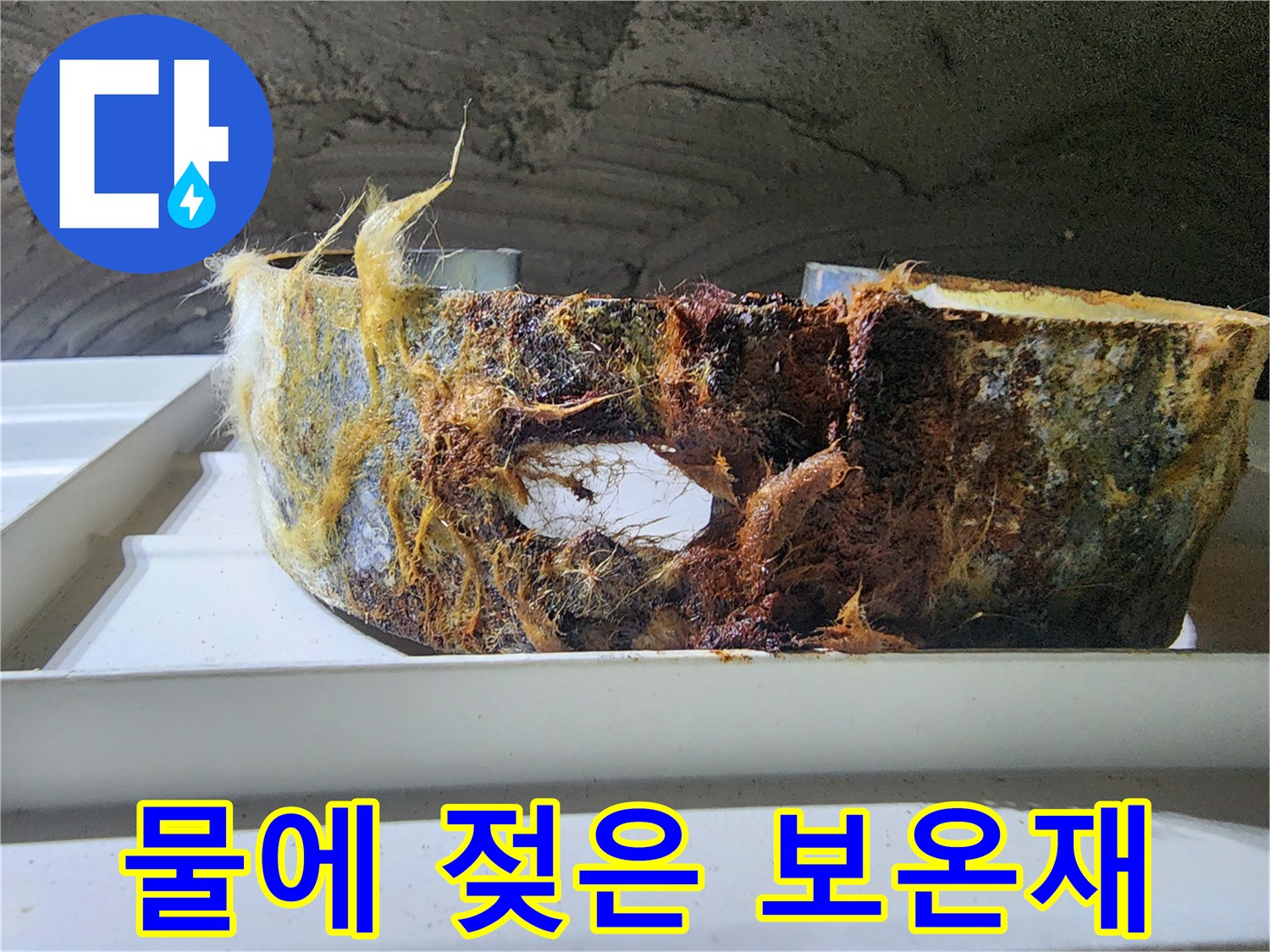 축축하게-젖어-너덜너덜해진-배관-보물재-사진