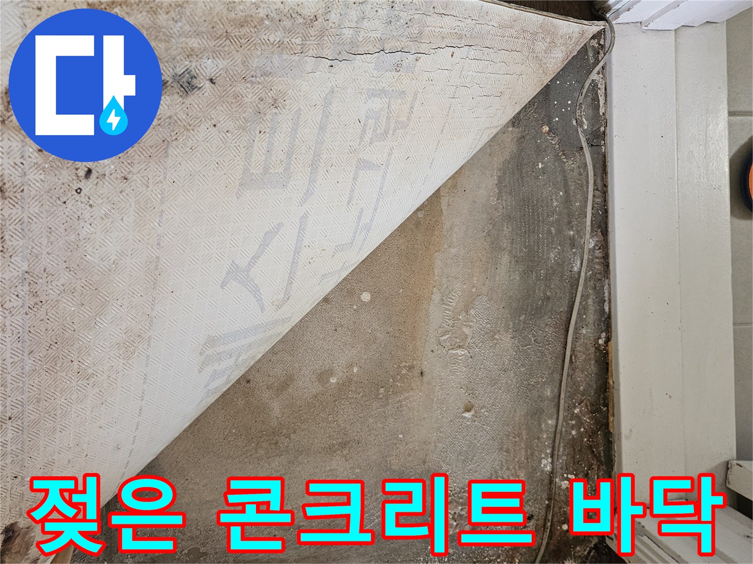 강동층 길동 현장-들춰낸 장판 아래 젖어있는 바닥 기초
