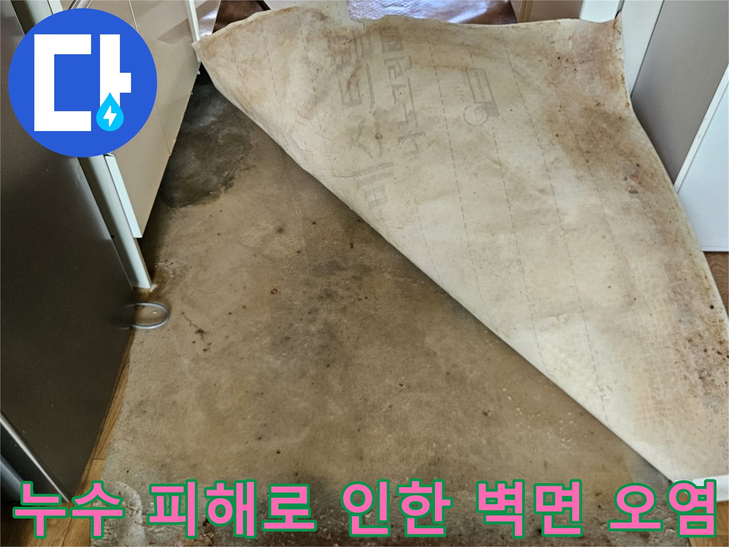 물샘-증상으로-발생한-벽면의-곰팡이와 변색
