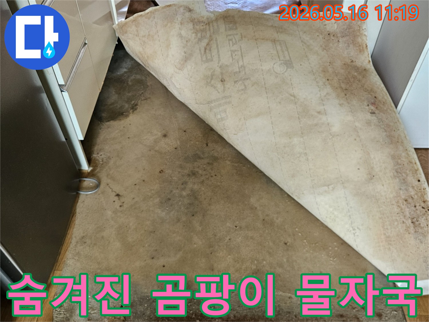 벽지 뒤에-가려져 있던-벽면의-곰팡이와-오래된-물자국을-보여주는-사진입니다