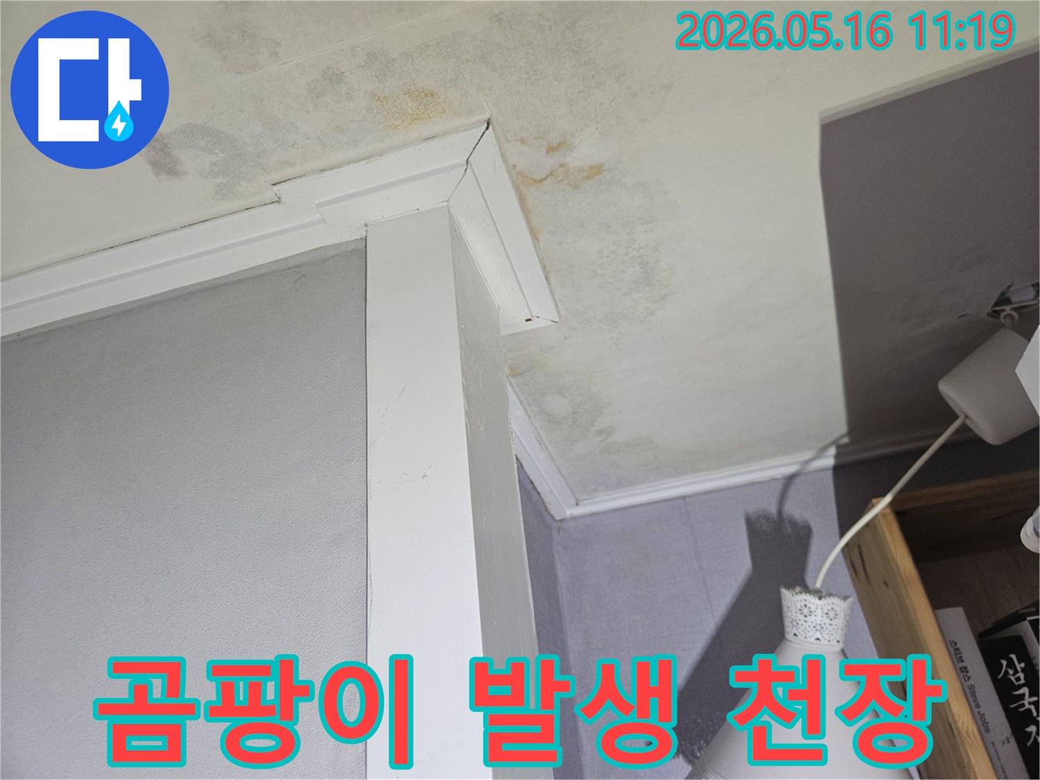 천장과-벽면-모서리에-발생한-심각한-누수-흔적과-곰팡이-피해를-보여주는-사진입니다.