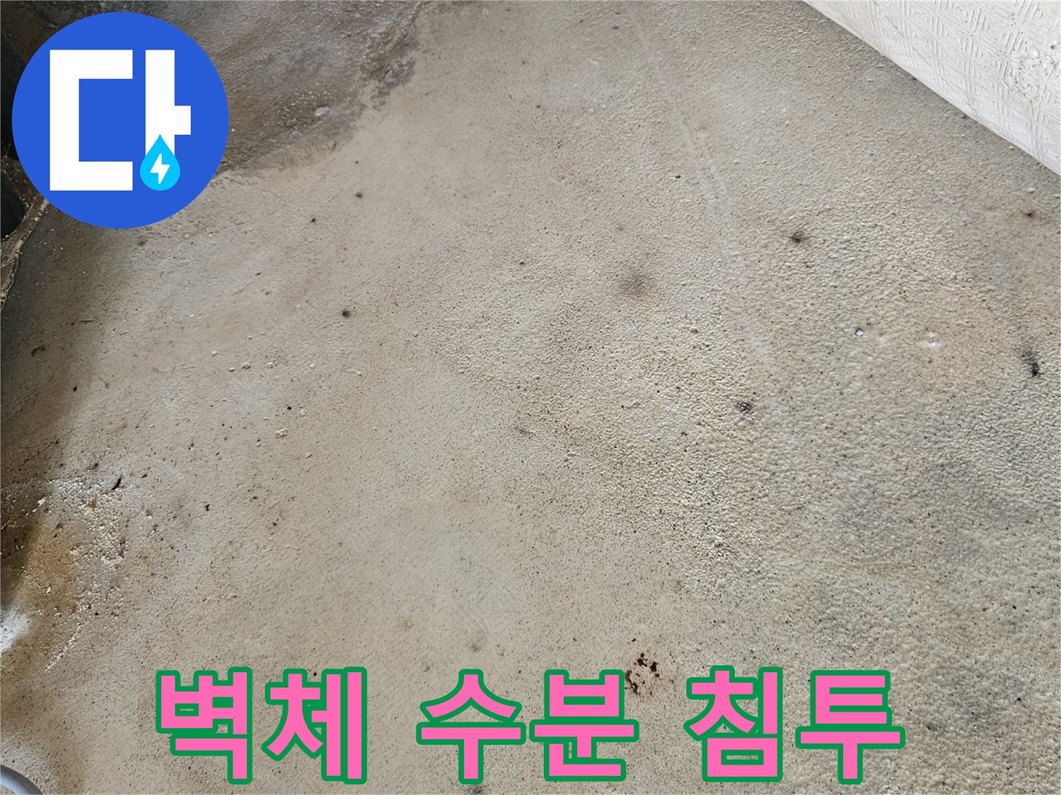 콘크리트 표면에 나타난 누수 및 습기 침투 흔적