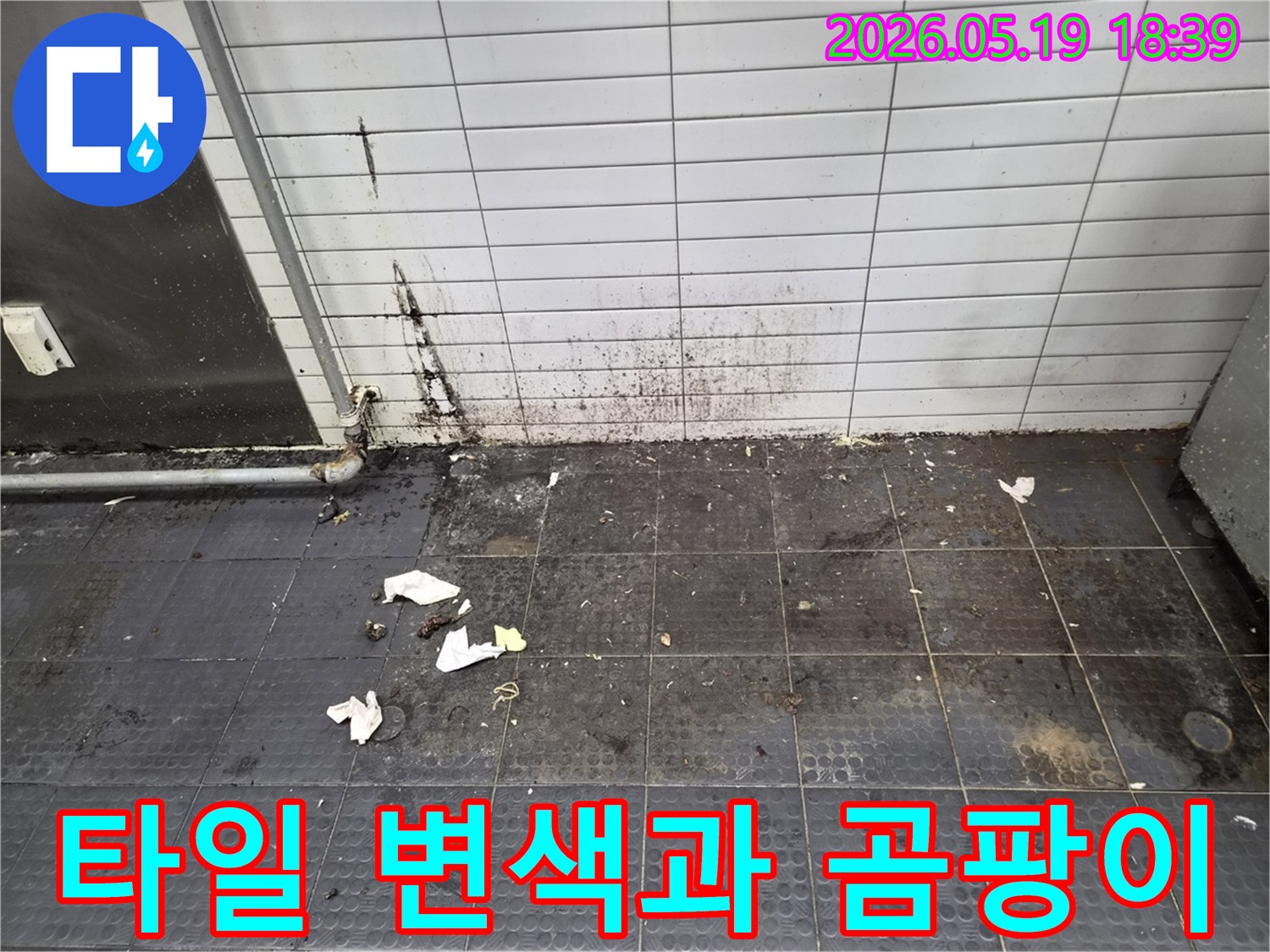 누수로 인해 벽면 타일이 변색되고-바닥에 곰팡이가 발생하여 위생 문제가 심각한 현장