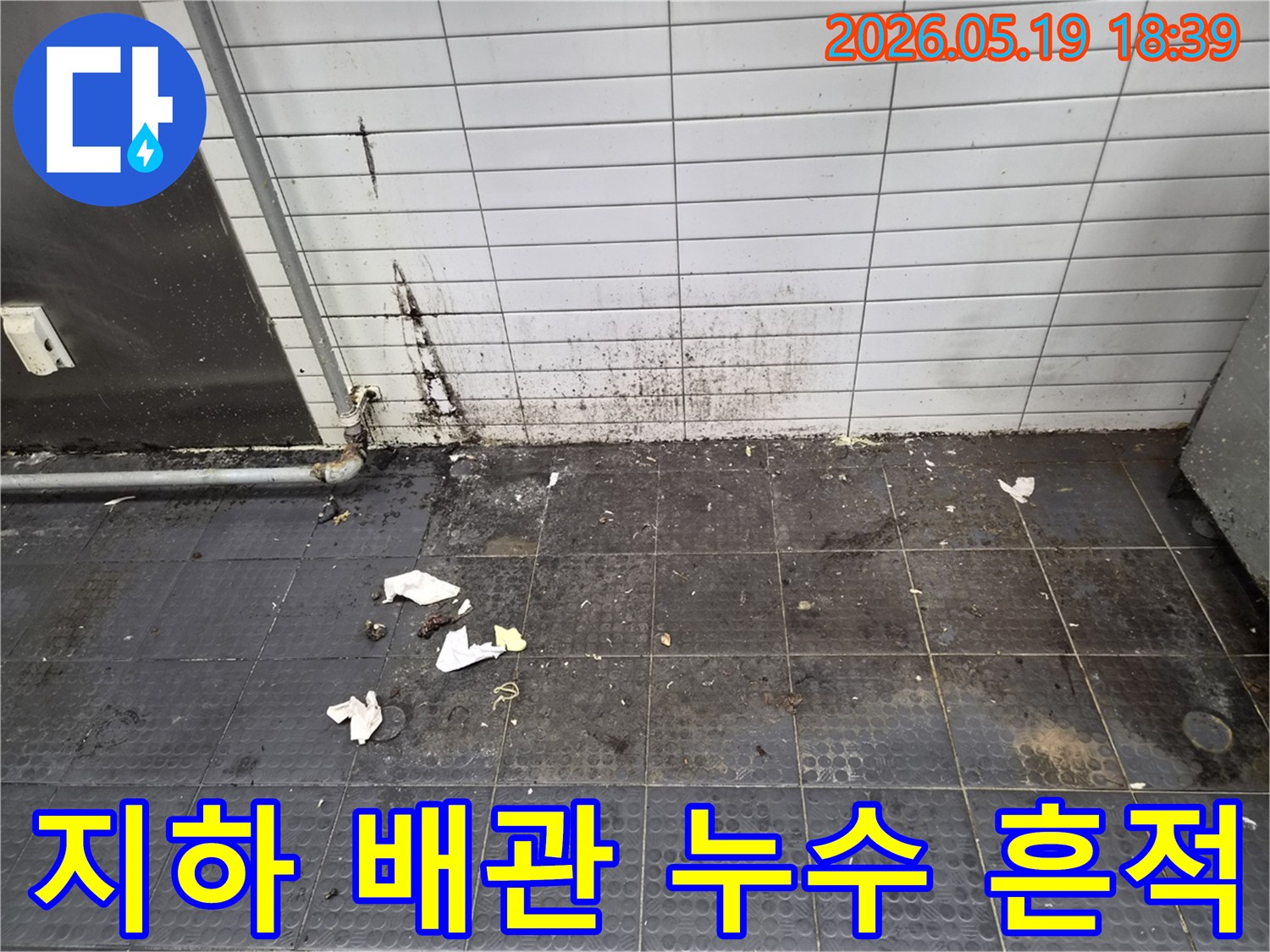 지하 배관에서 발생한 누수로-벽면과 바닥에 심각한 오염과 곰팡이가 발생한 현장