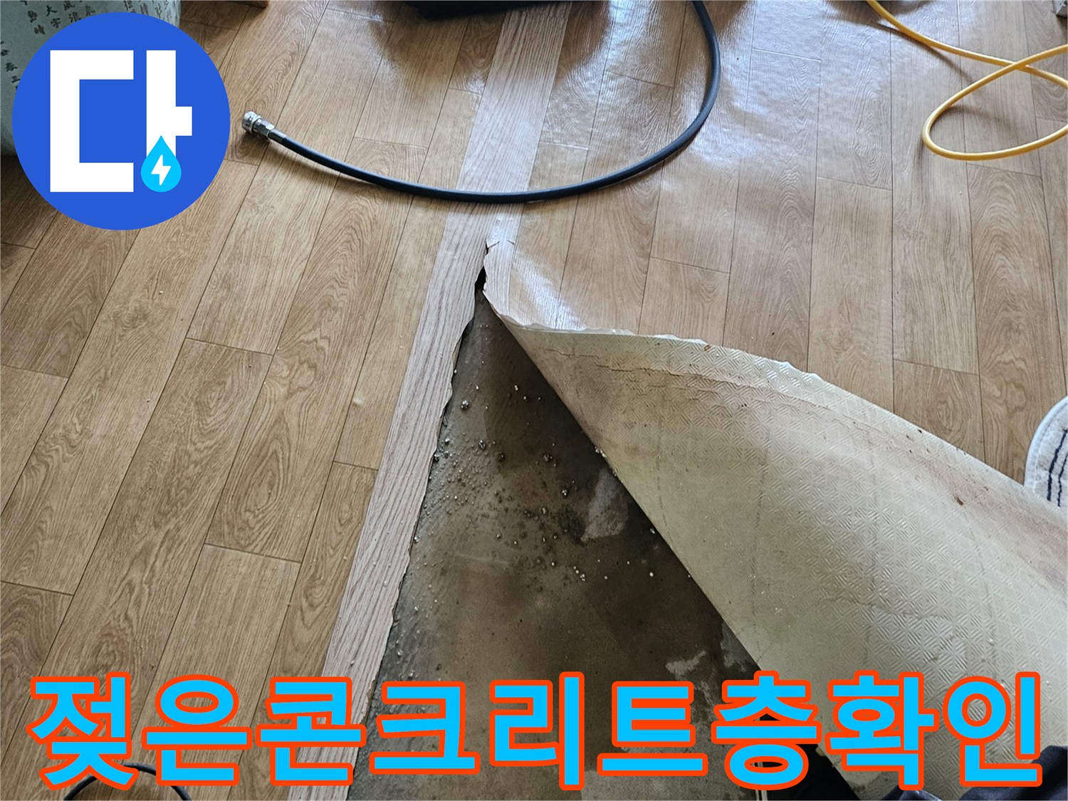 강동구-거실-바닥재-제거-후-드러난-습기-현장