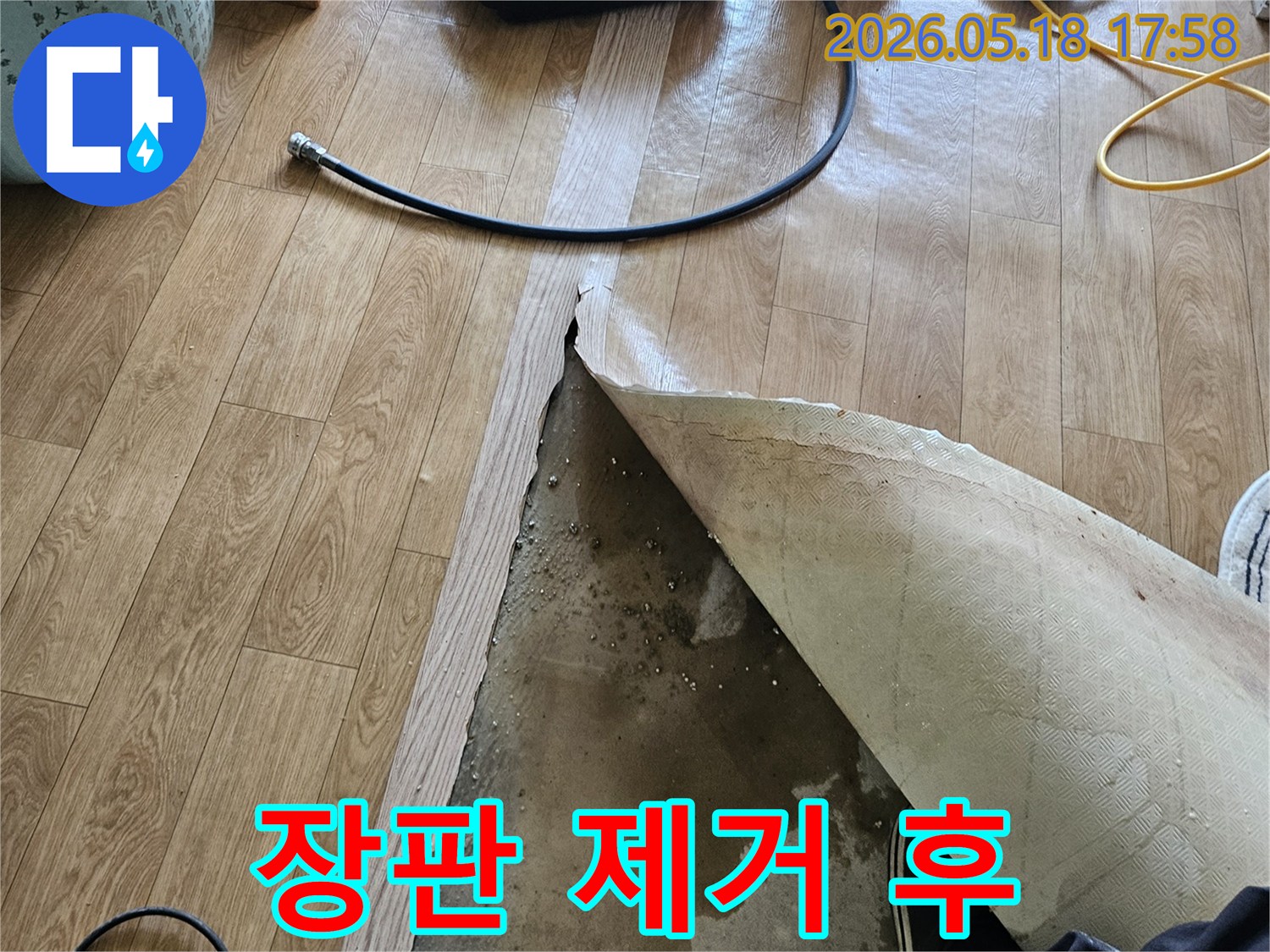 오랜 기간 진행된 누수-장판 아래 곰팡이와 함께-물이 고인 모습을 담은-피해 현장