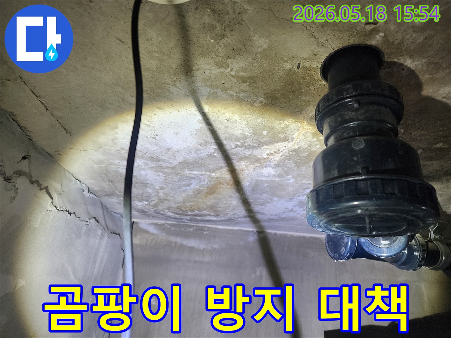 시흥-아파트-천장-누수-발생-후-누수-엔지니어가-곰팡이-재발을-막기-위한-방지-대책을-고려하며-현장을-점검하는-모습
