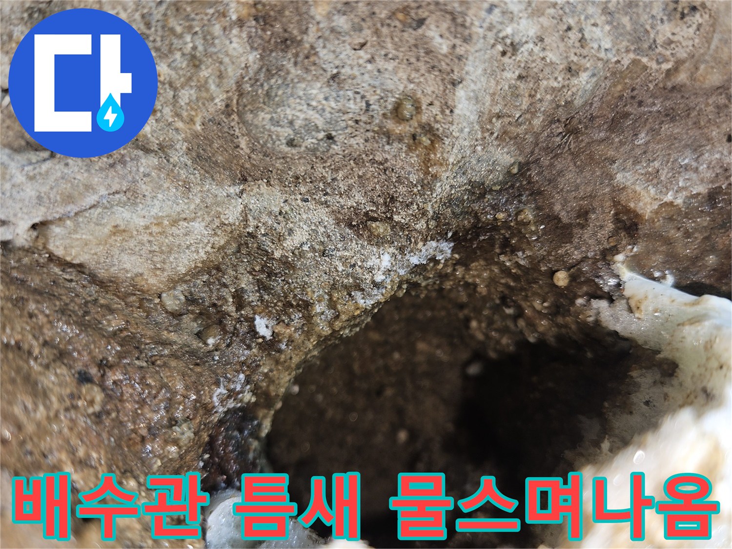 화장실-배수관-연결부-주변-콘크리트-틈새로-물이-스며나오는-상태