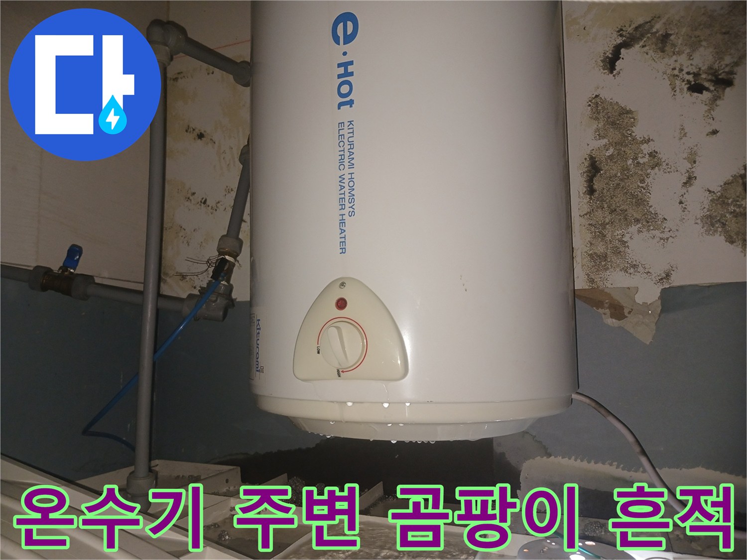 배관-주변의-젖은-벽면과-곰팡이-상태