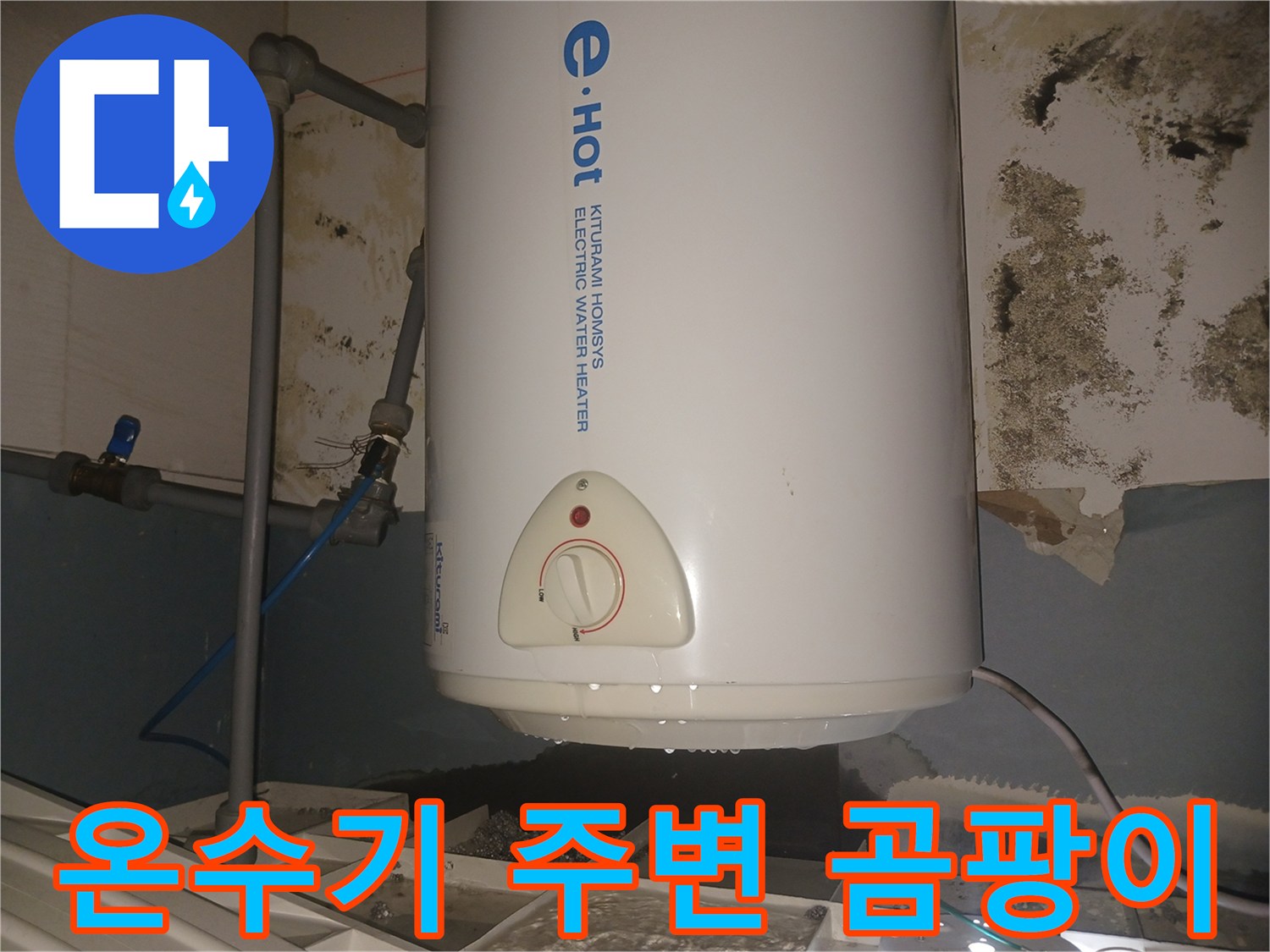 전기-온수기-하단-배관-주변-곰팡이-발생-상태