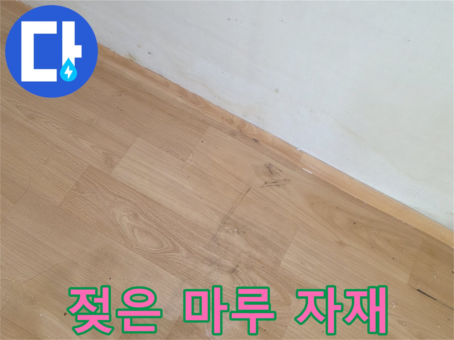 습기를-머금어-어두워진-마루-표면