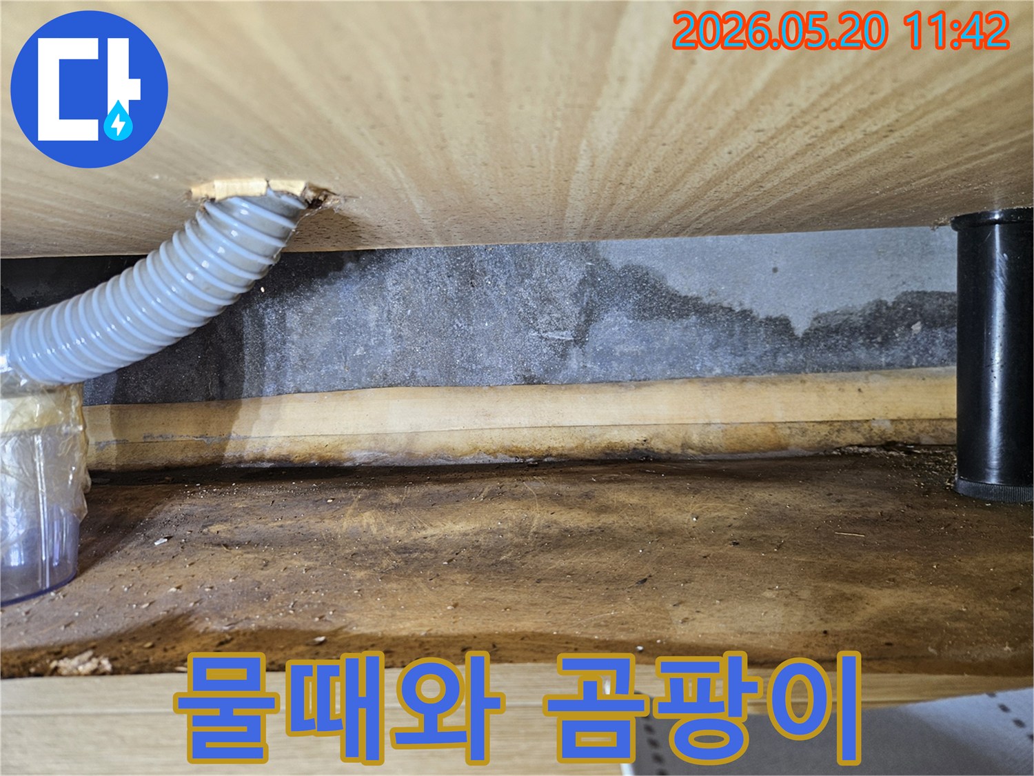 습기로-인해-목재가-손상되고-있는-누수 현장을-촬영한-사진