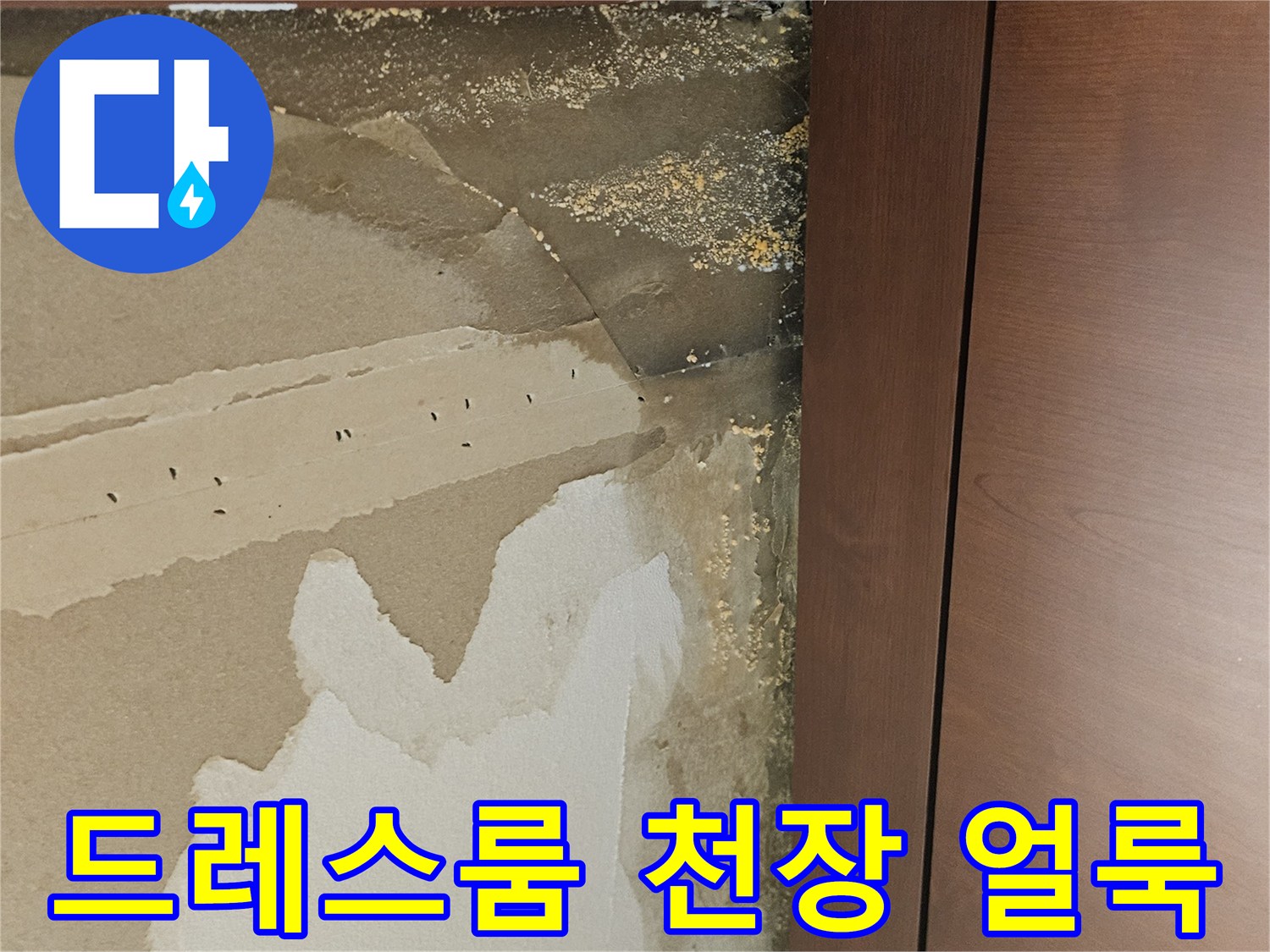 고양시 덕양구 드레스룸 천장 벽지 누수 흔적 사진