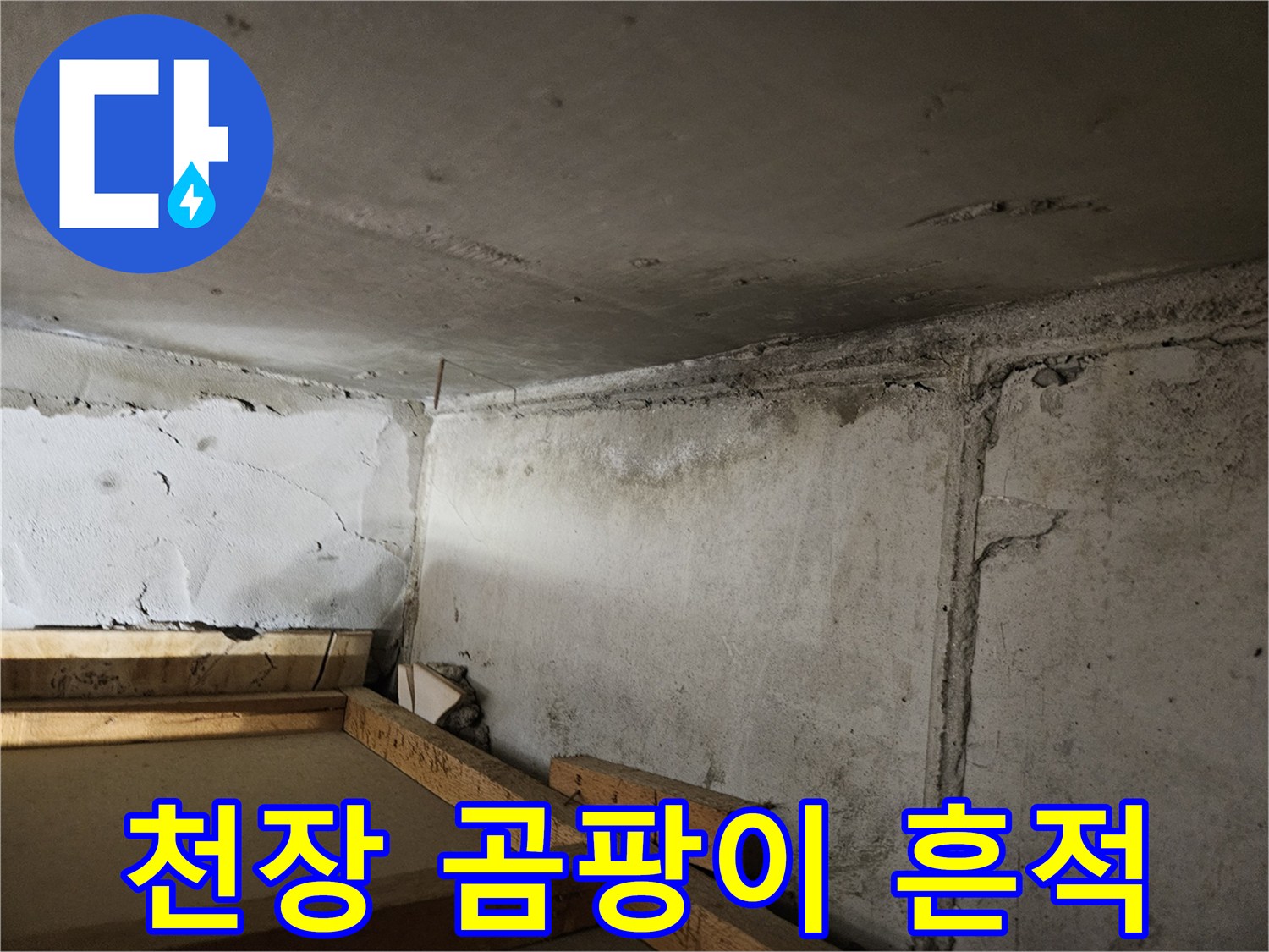 아파트-천장-구석의-곰팡이와-습기-흔적
