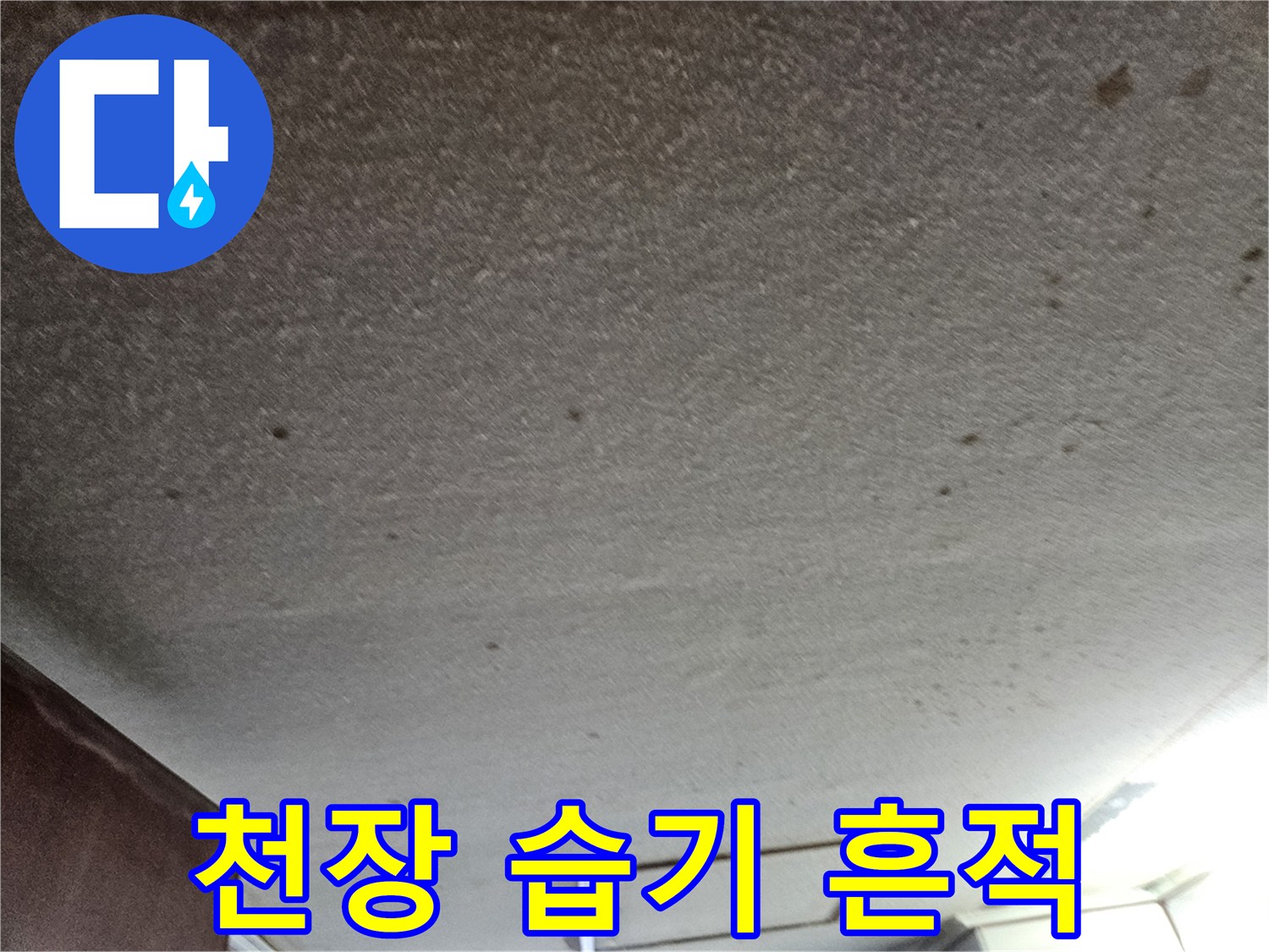 천장 마감재에 나타난-물샘 흔적과 얼룩