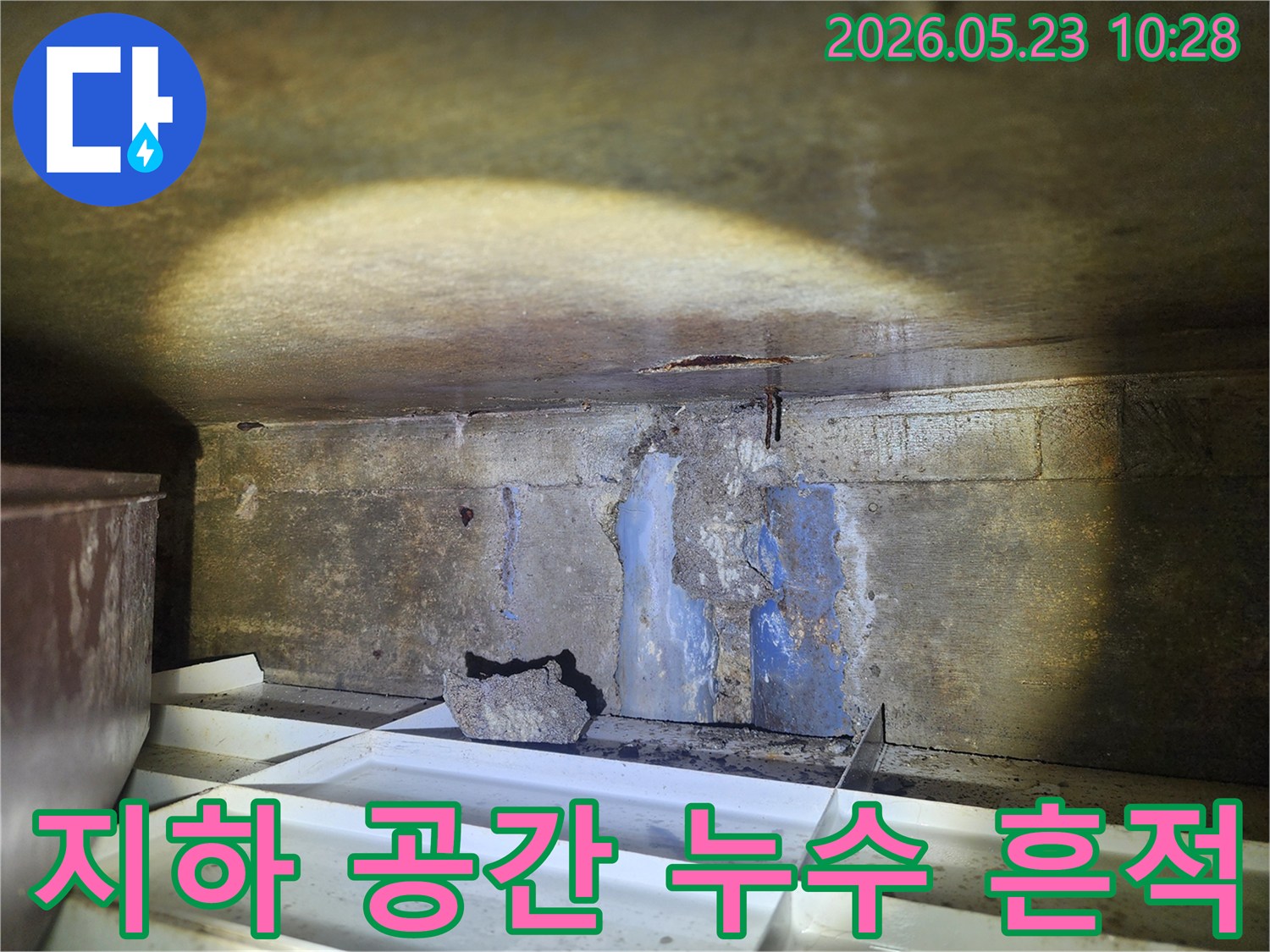 어두운-지하-공간의-천장과-벽면에-물이-새고-있으며-바닥에-물받이가-놓인-누수-현장