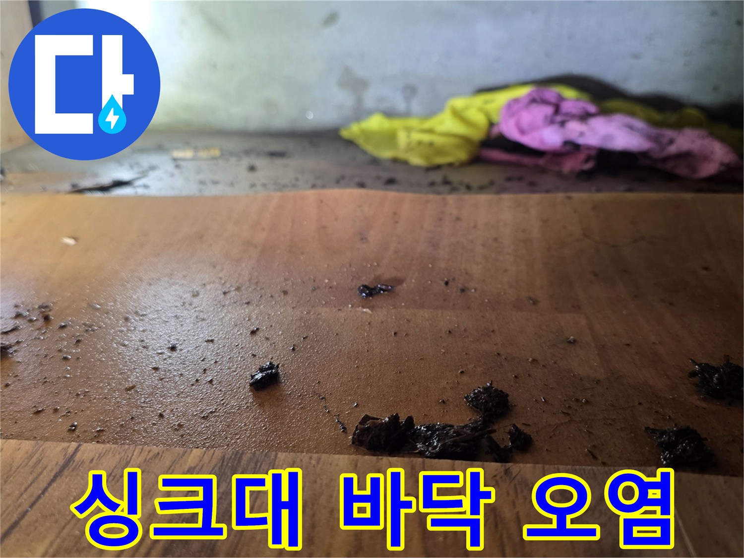 싱크대 밑바닥-나무판의 곰팡이와 오염 상태를 보여주는 사진
