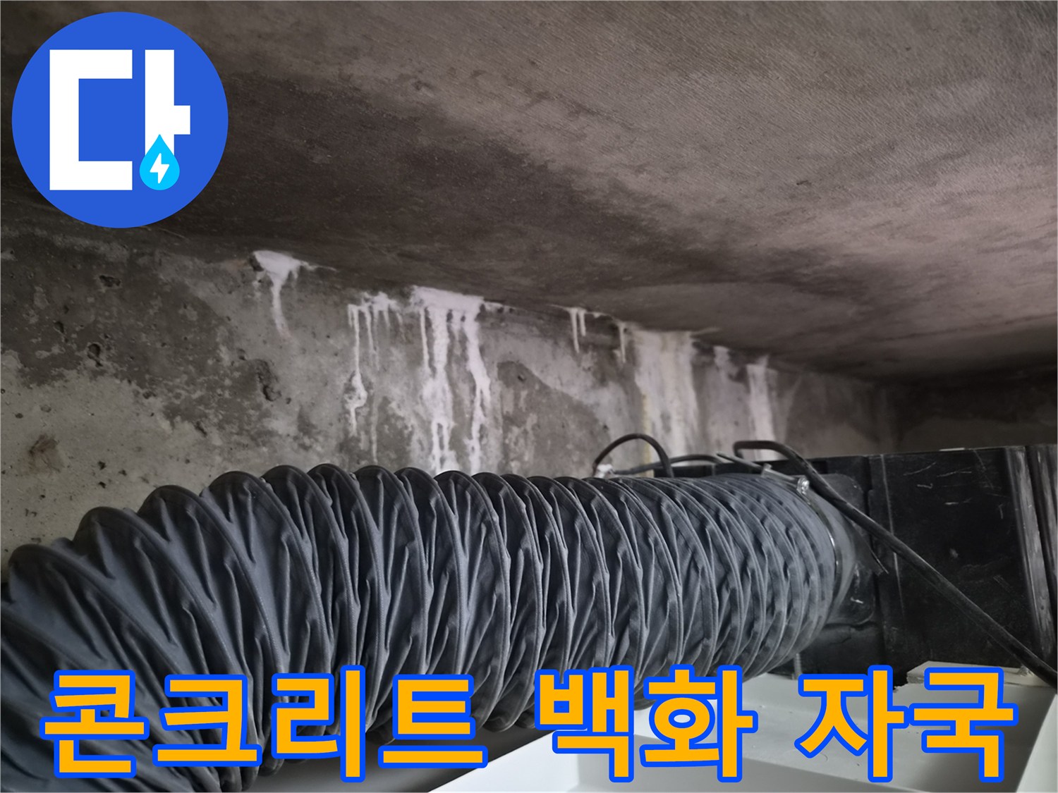 천장-슬래브-부위에-발생한-하얀색-백화-및-물샘-흔적