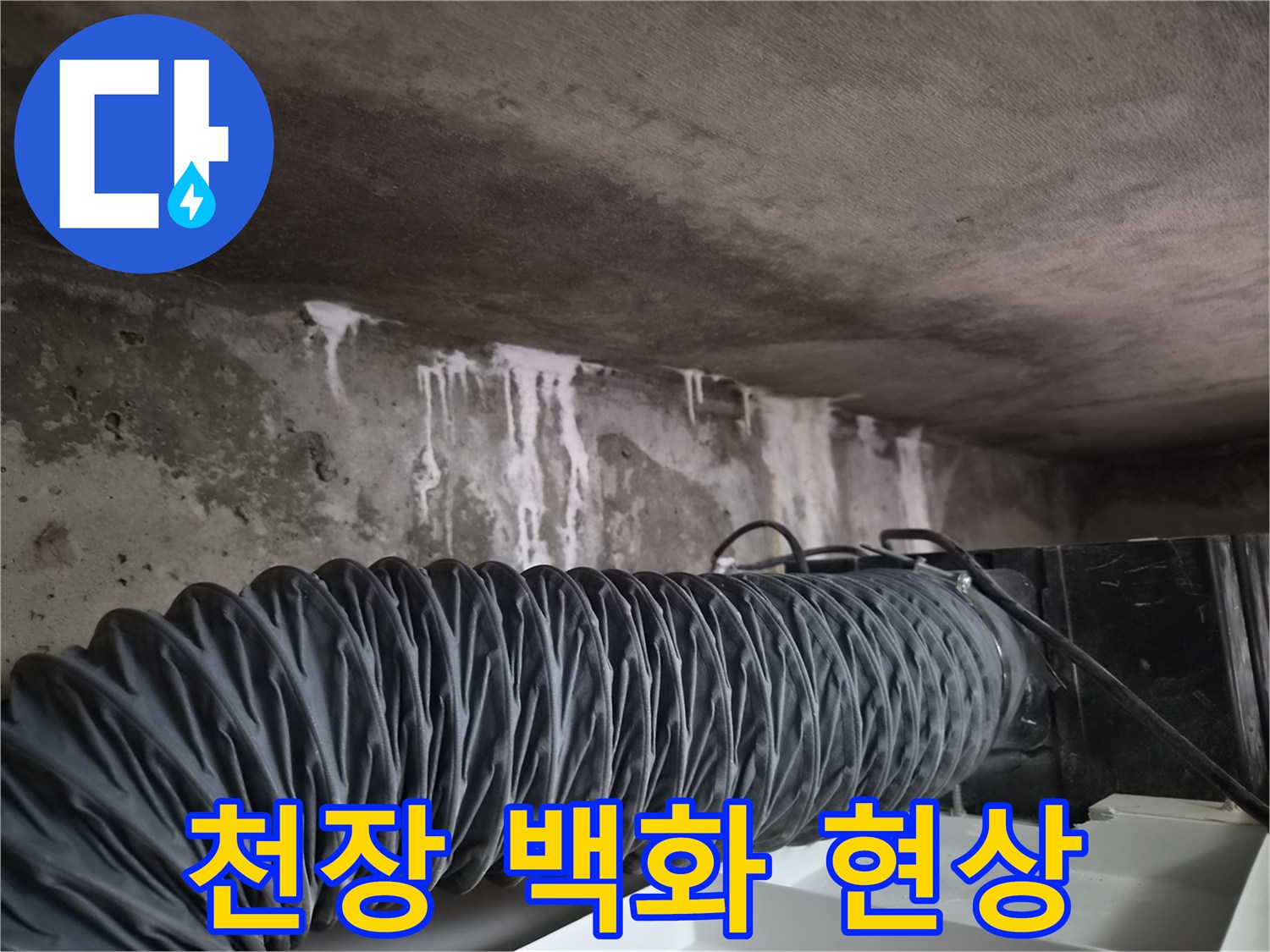 콘크리트 슬래브-백화현상이 발생한 천장 상태
