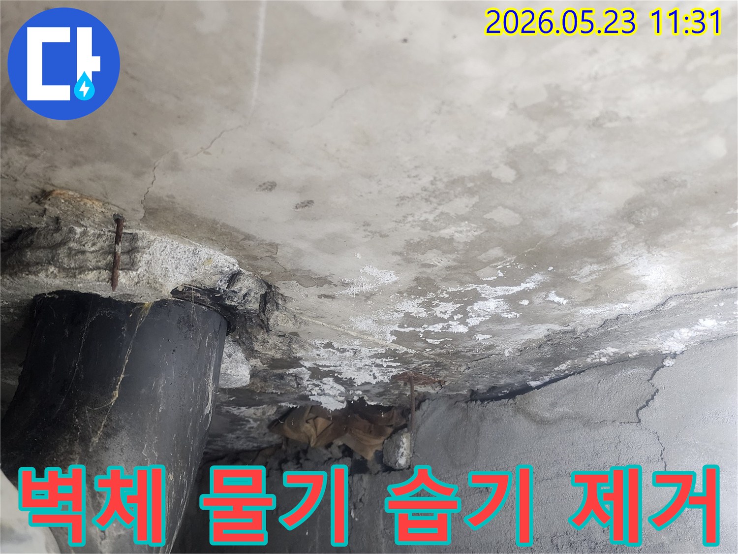 상가 건물의-콘크리트 벽체에-누수로 인한-심한 물기와-습기가 차서-백화현상이 발생한-현장을 보여주는 이미지