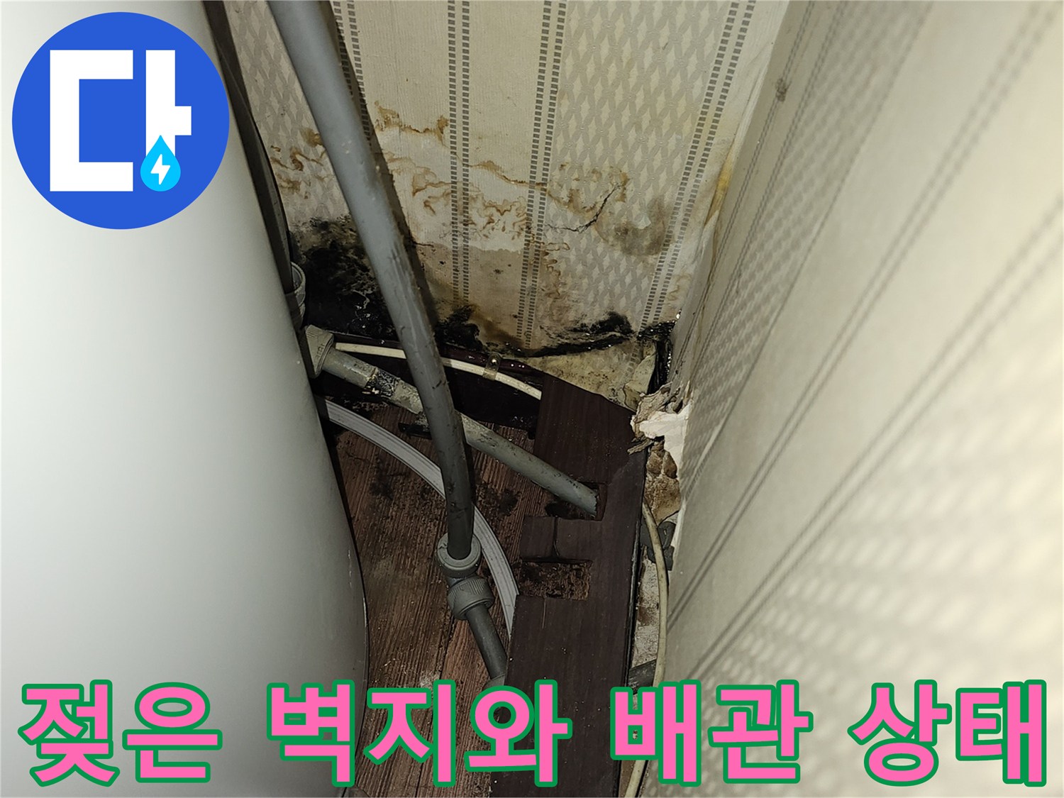 온수기 하단-벽면 오염 및 배관 연결부 누수 지점 추적