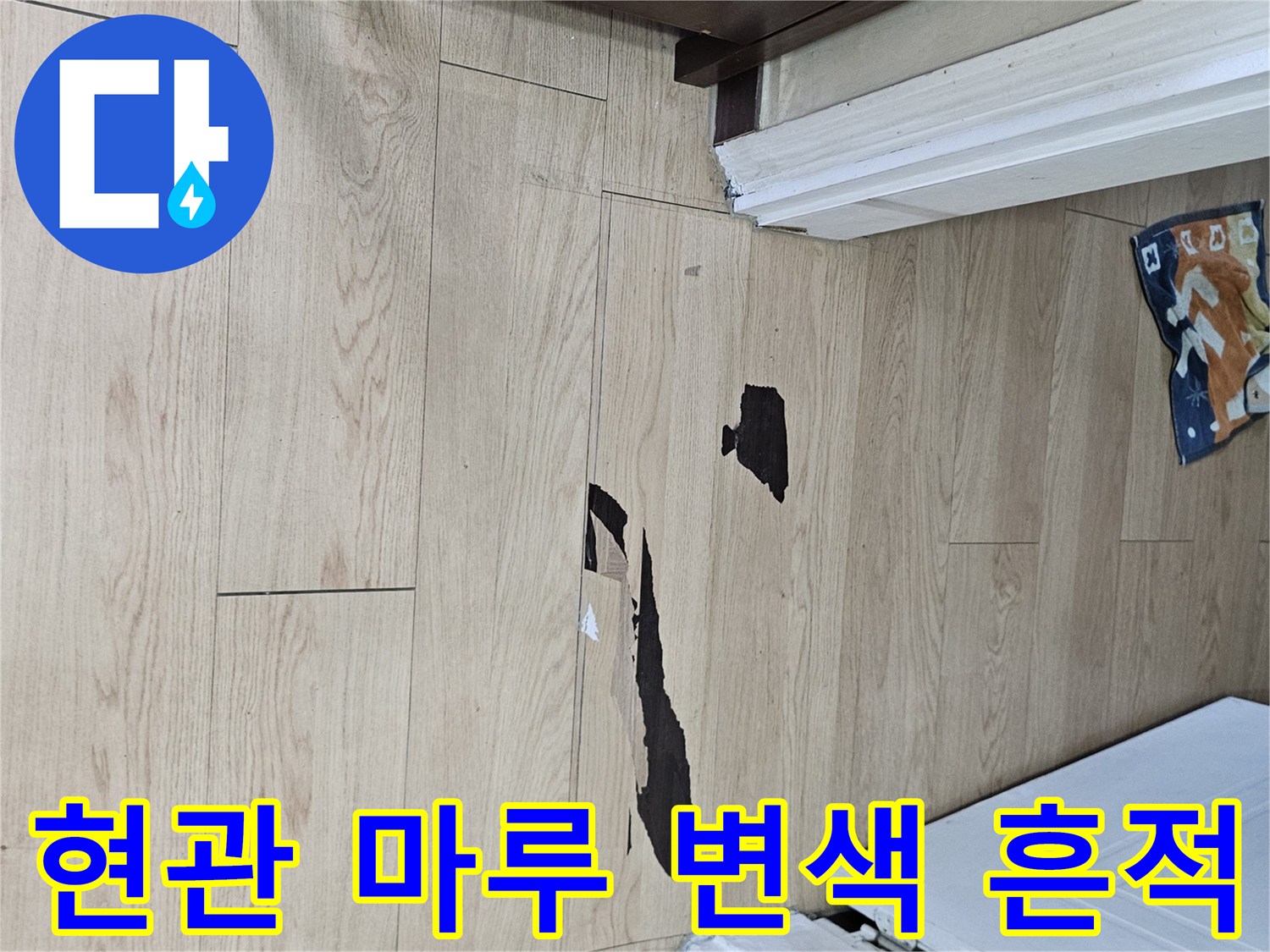 양천구 현관 입구 바닥 마루의 검게 변한 물자국과 얼룩 상태