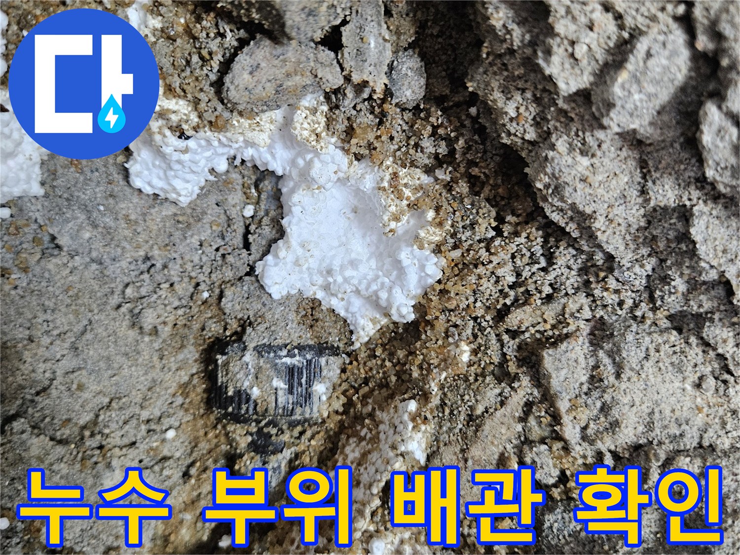콘크리트 굴착 후 드러난 누수 의심 배관과 주변 토사