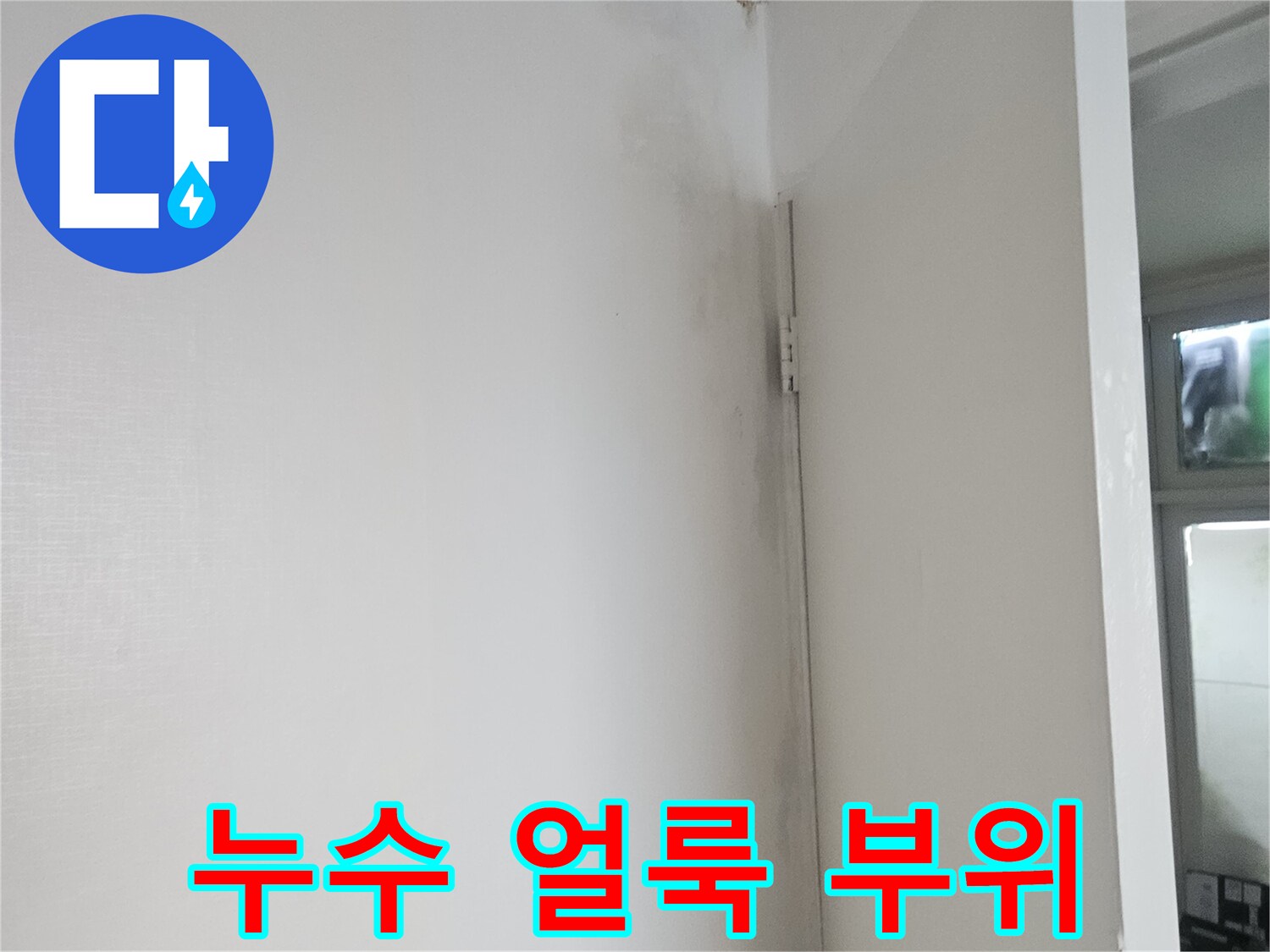 현관 천장의 젖은 자국과 습기 흔적을 촬영한 사진