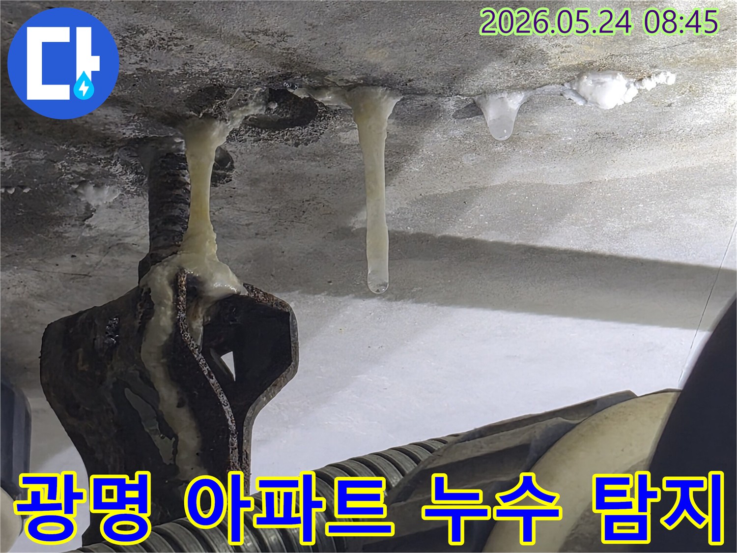 광명-아파트-천장-누수로-인해-겨울철-고드름이-발생한-정밀-탐지-요구-현장