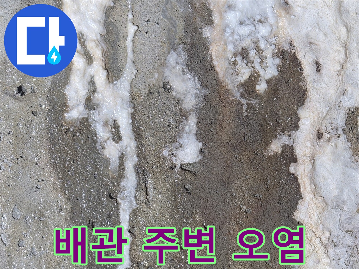 천장 내부 콘크리트-하얀 백화물로 덮인 상태입니다