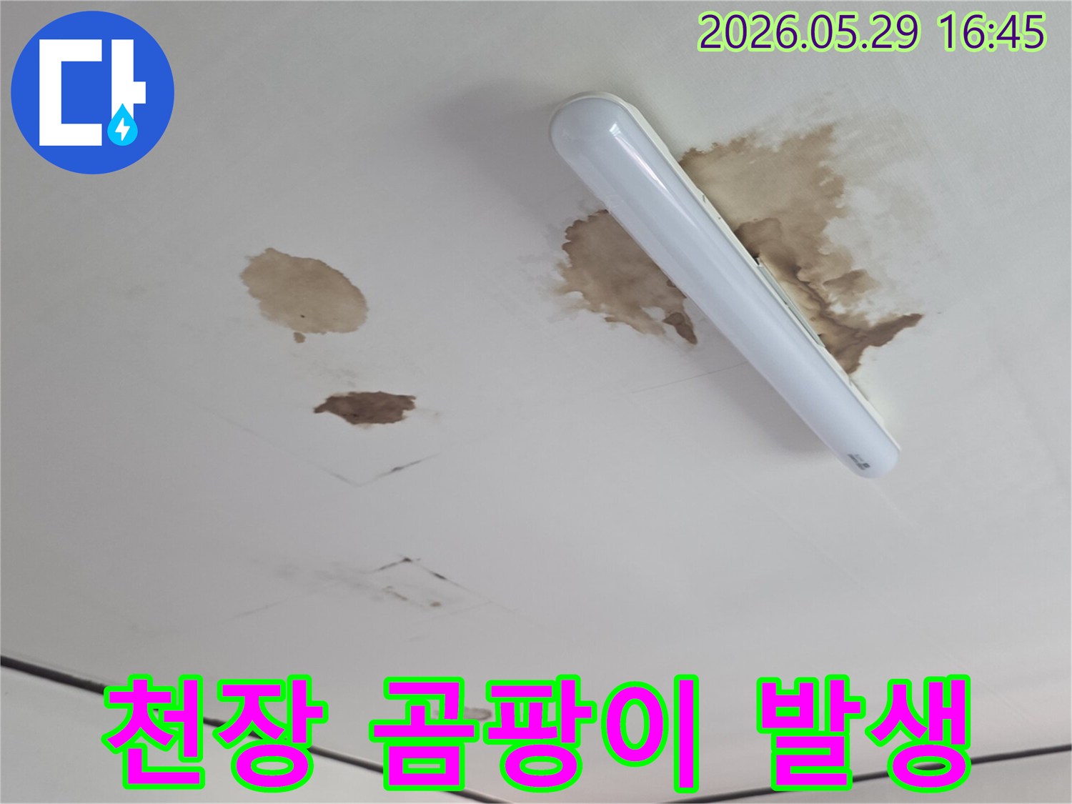 형광등-설치-부분에서부터-시작된-것으로-보이는-천장-누수-얼룩의-전체적인-모습입니다