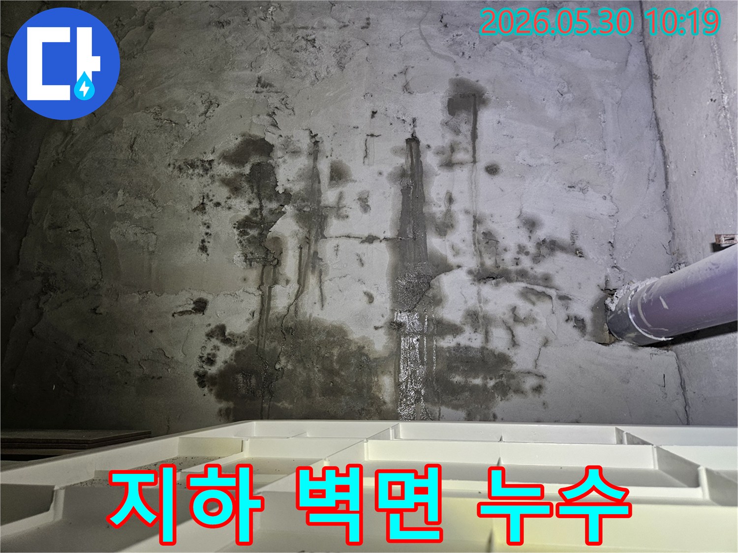 건물 지하 벽체에서-지속적인 물 유입으로-축축하게 젖고-변색된-누수 현장