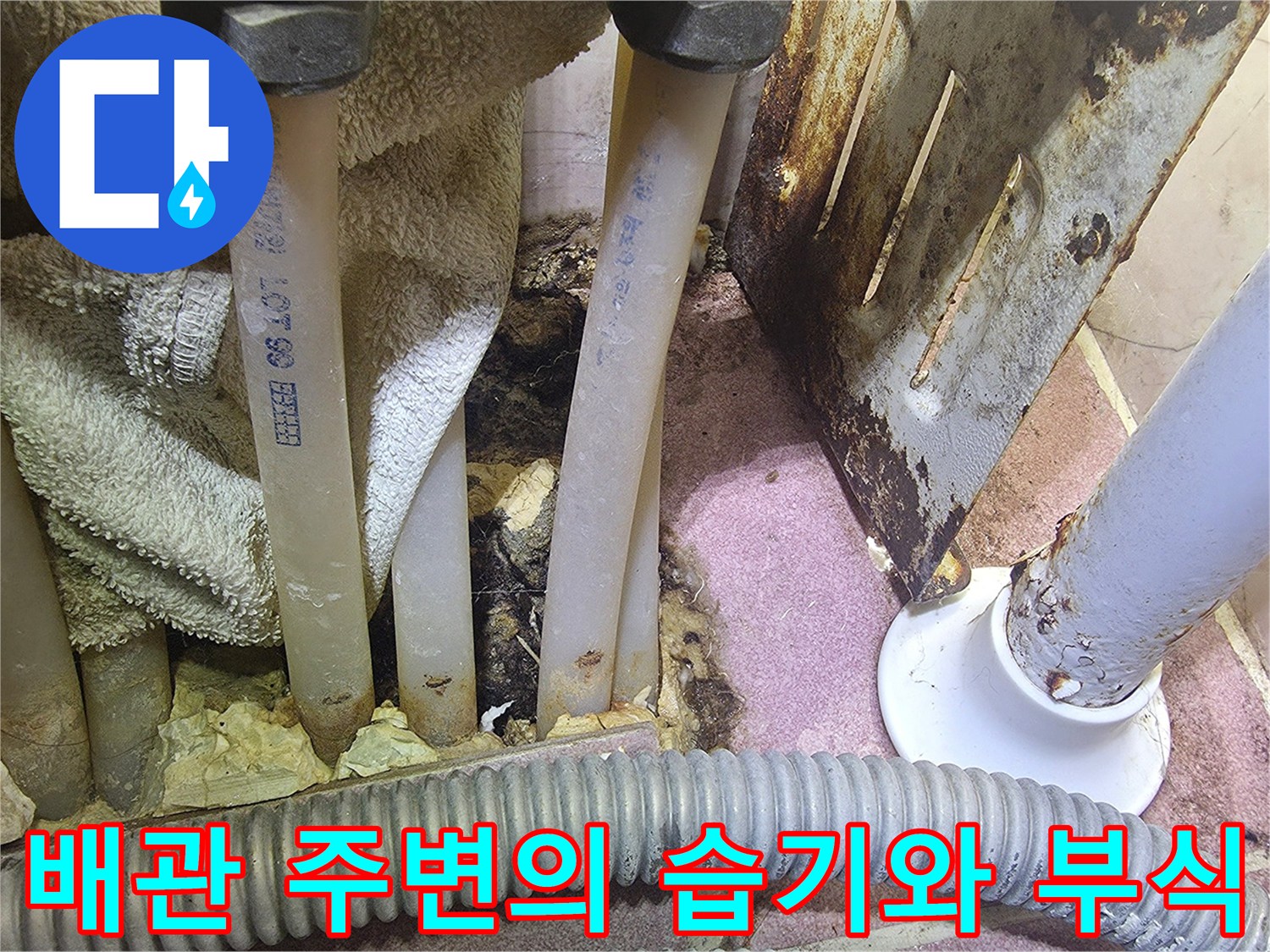 하부장 내부-물샘으로 인해 젖어 있는 바닥과 배관 연결 구간입니다.