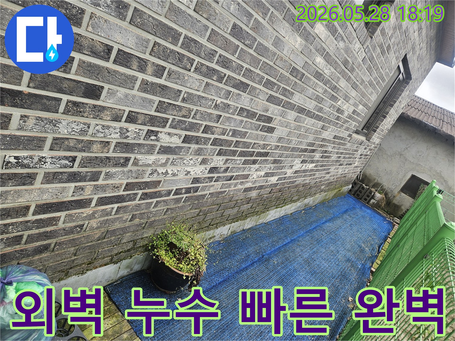 푸른색 차광막 아래-회색 벽돌 외벽에 나타난-습기 자국과 이끼를 보여주는 현장 사진
