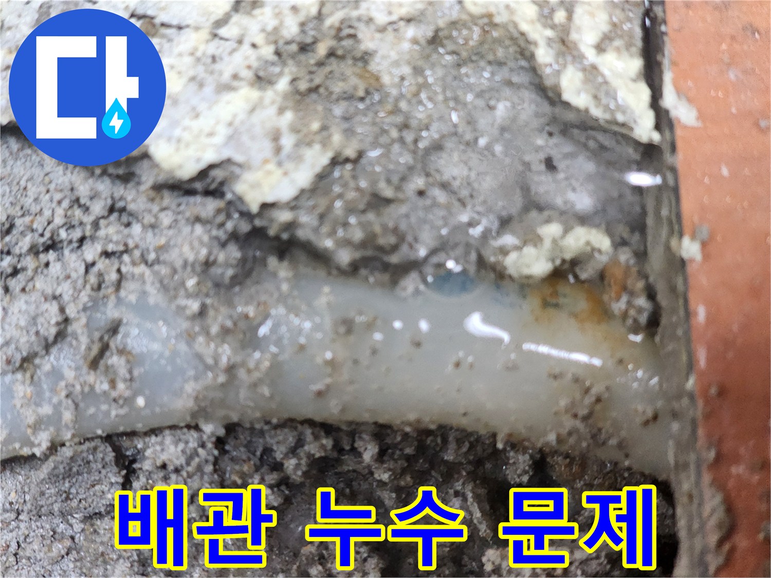누수-전문가가-발견한-배관-누수-문제의-결정적인-현장입니다