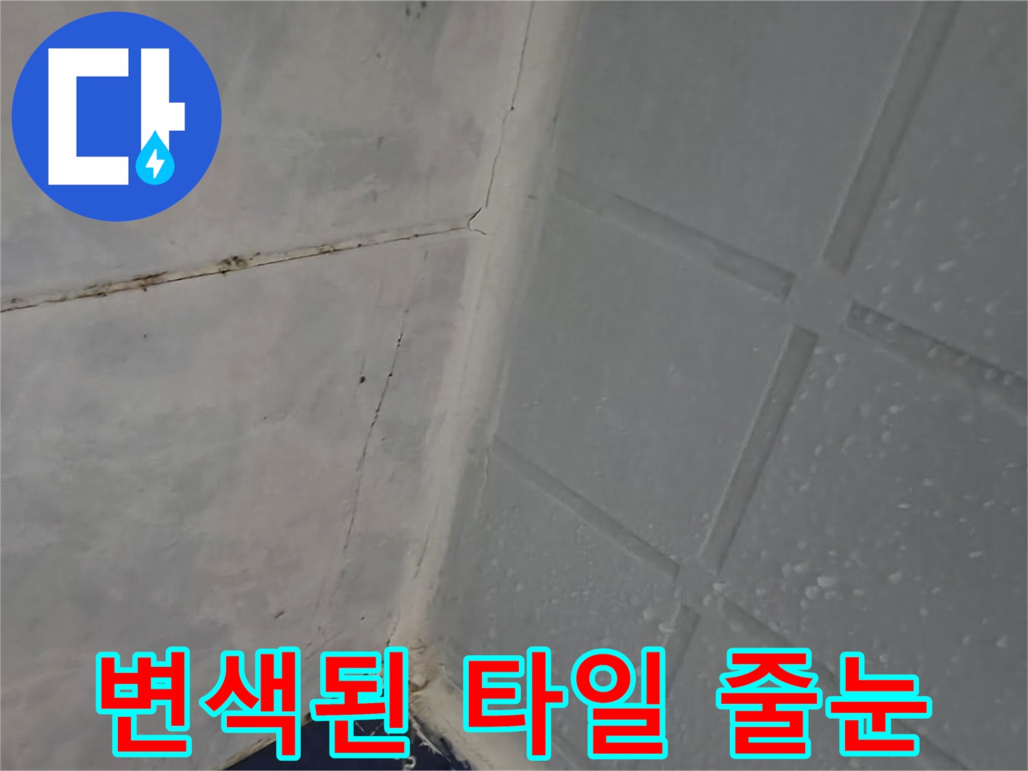 물기에-젖어-변색된-화장실-벽면-줄눈-부위