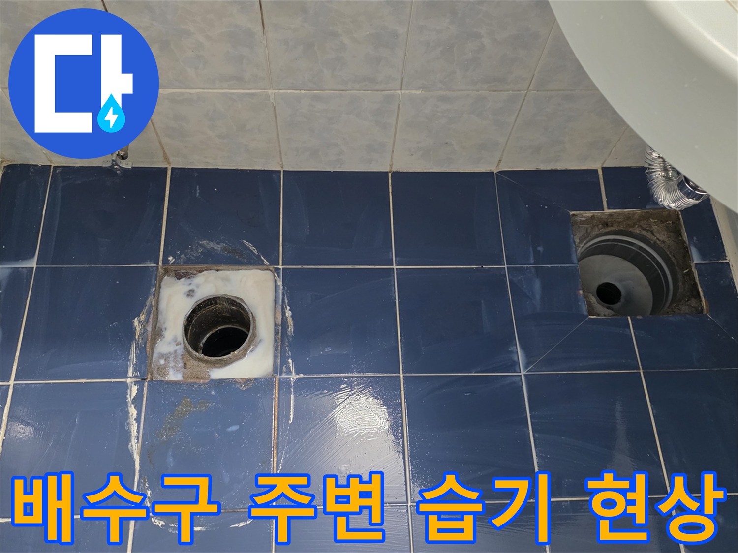 화장실 배수관 입구와 타일 사이의 물기가 스며든 상태를 촬영한 사진입니다.