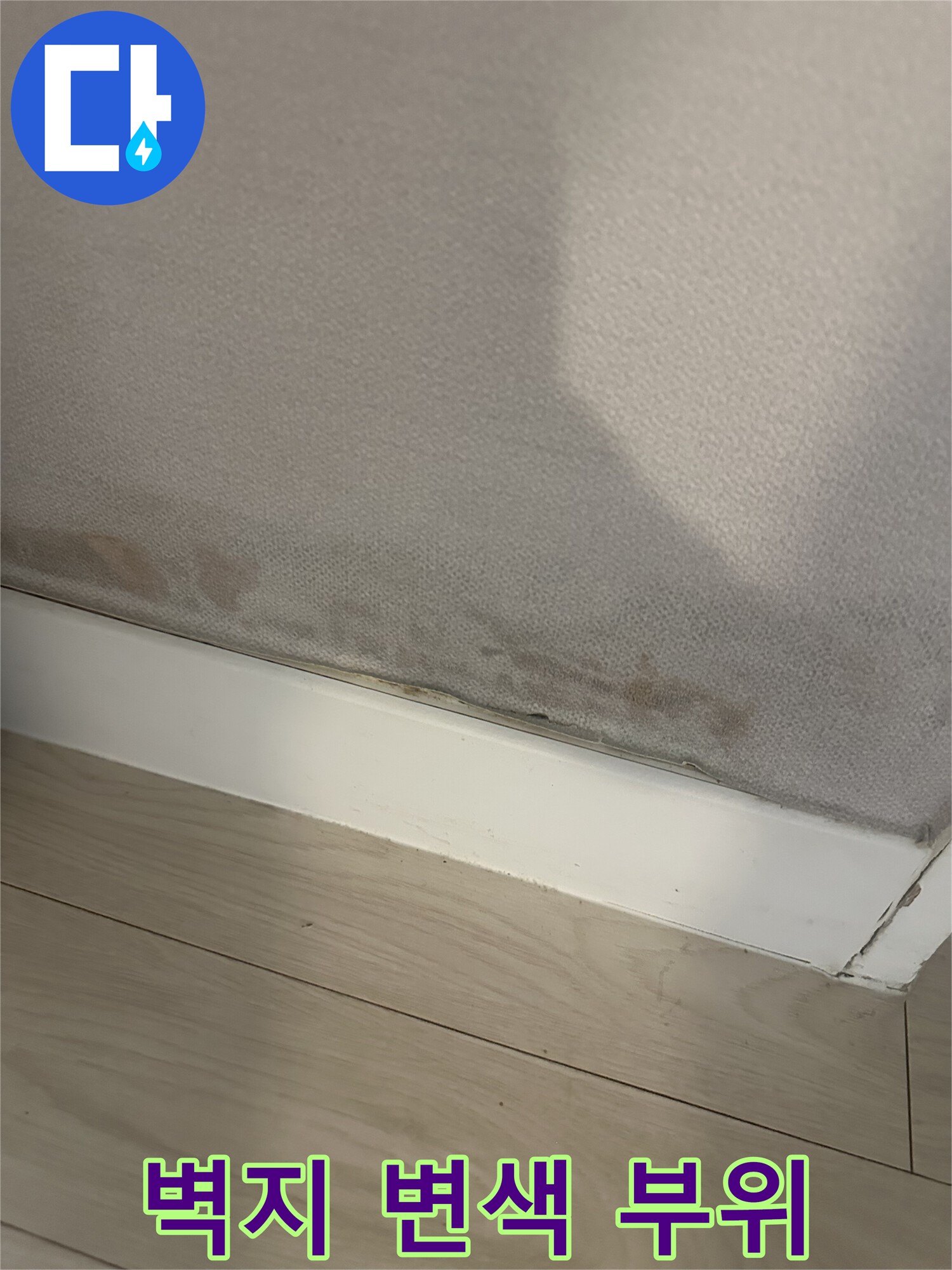 서대모구 아파트 벽지 하단부의 곰팡이와 변색된 상태를 보여주는 사진입니다.