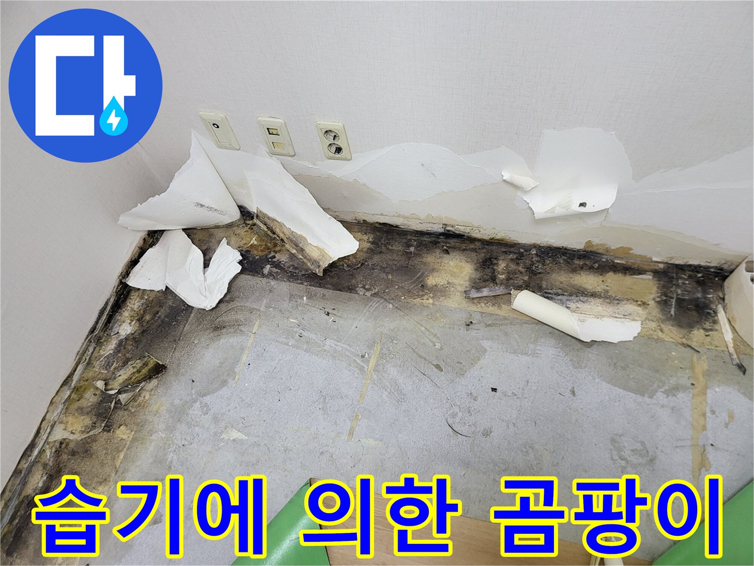 바닥재 경계 부분의 곰팡이와 벗겨진 벽지 상세 모습