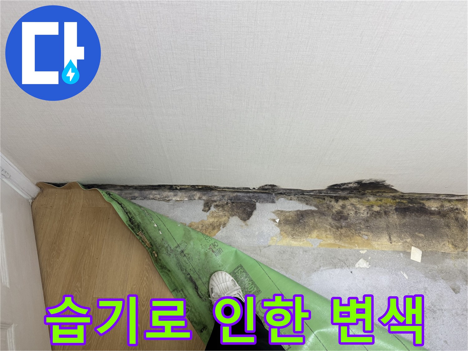 벽지 하단 마감재 부분의 눅눅한 습기와 곰팡이 자국