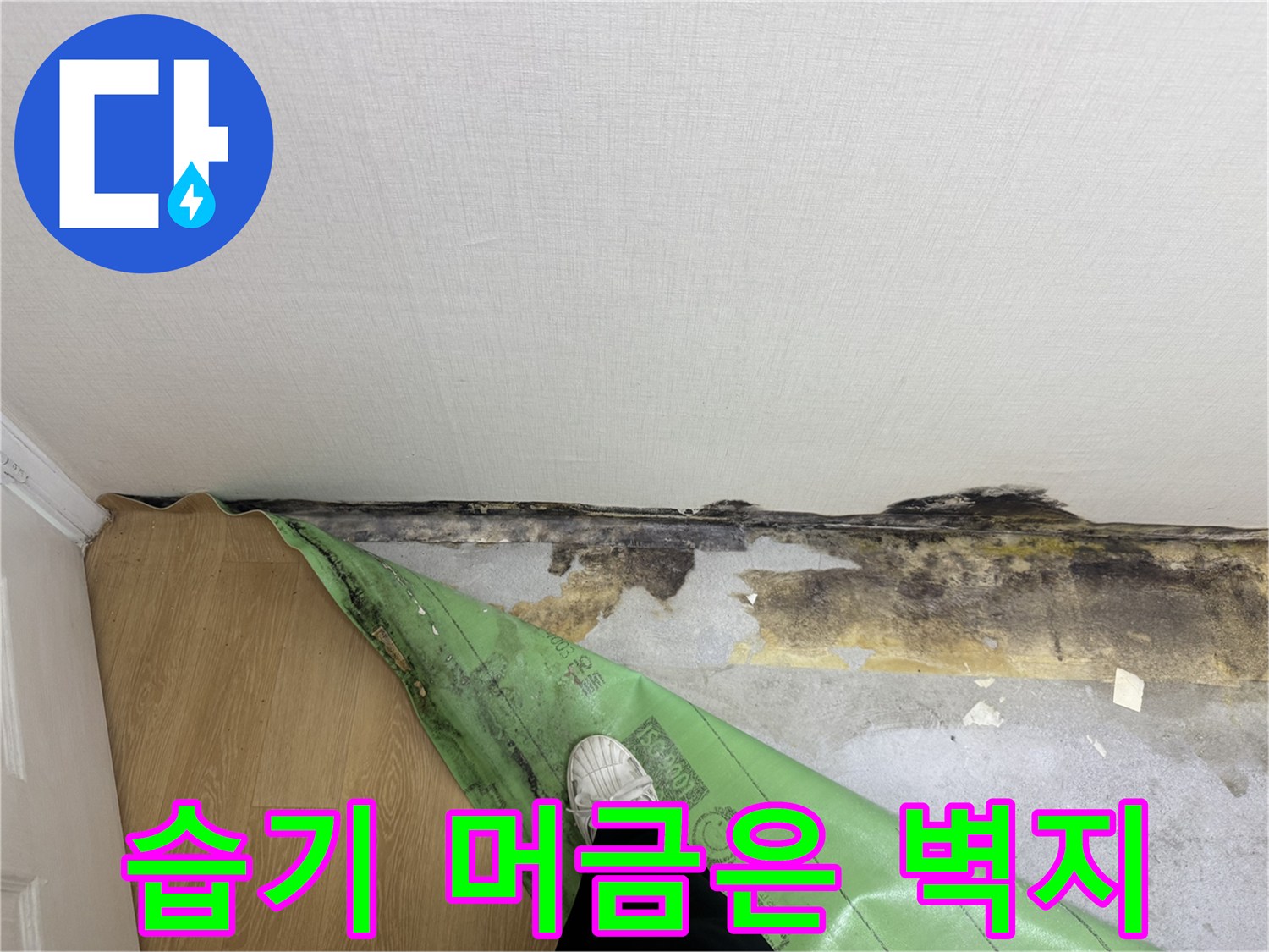 벽지 하단부에 발생한 검은색 곰팡이와 젖은 흔적