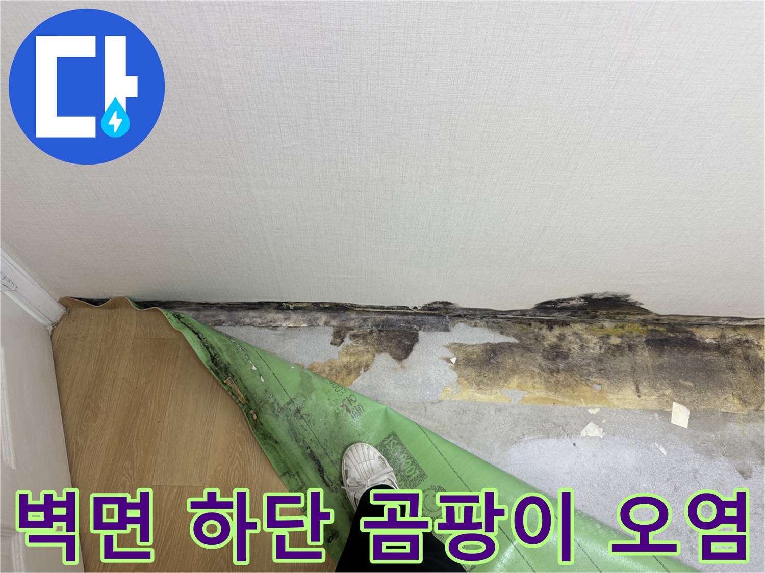 벽지-하단부의-심한-곰팡이와-습기-침투-현상