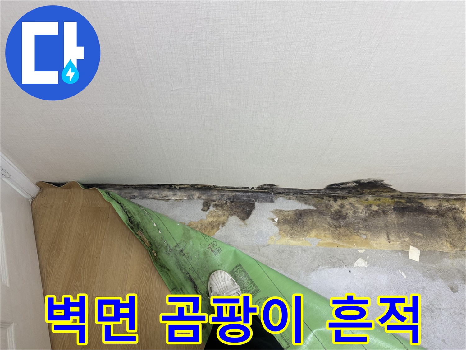 송파구 아파트 벽면 하단에 발생한 검은색 곰팡이와 습기 흔적