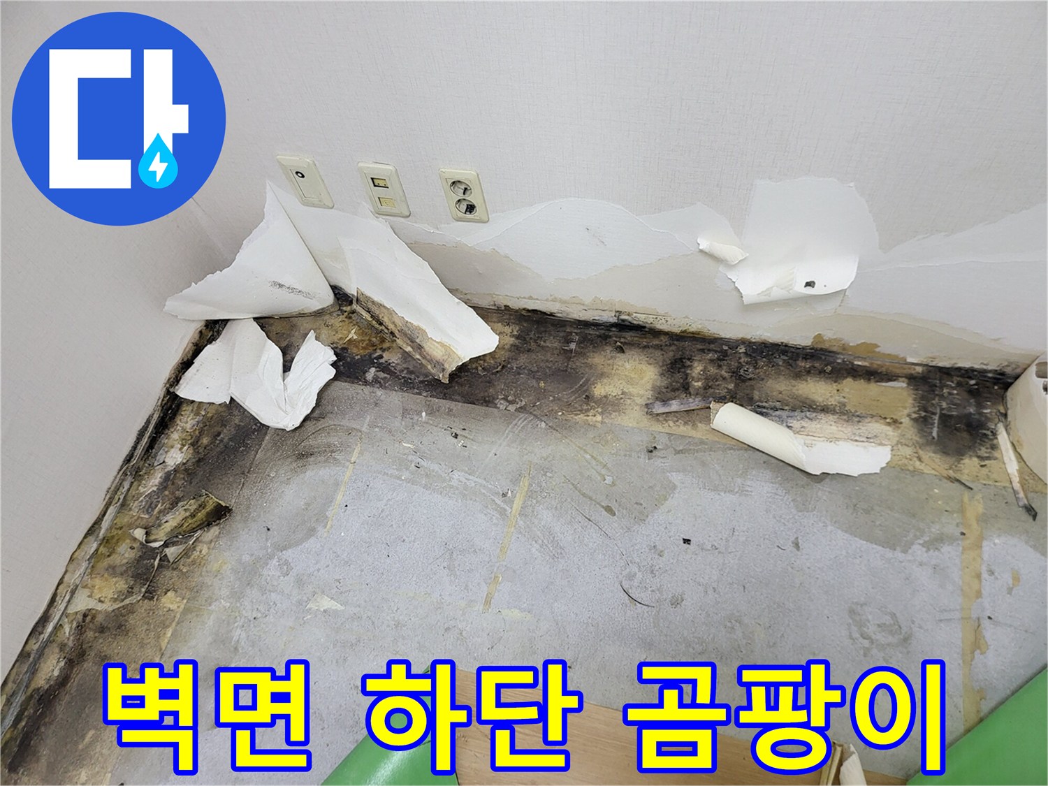습기로 인해 오염된-벽지 및 하단 마감재 부위