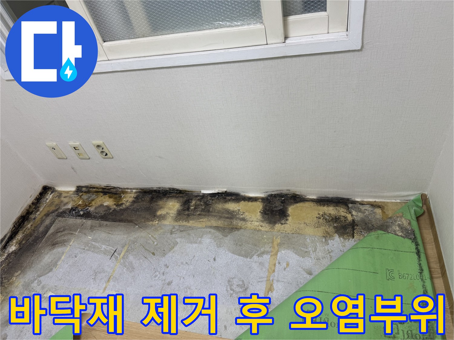 제거된 바닥재와 벽면 하단-습기 및 곰팡이가 번진 현장