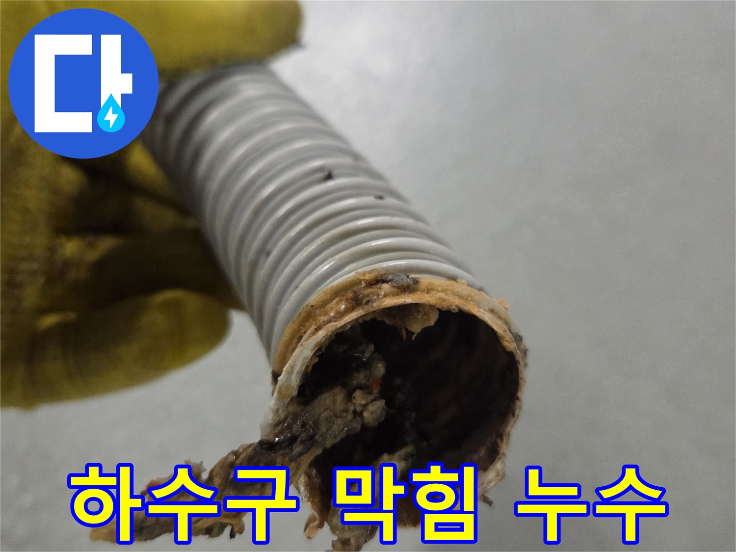 노란 장갑을 낀 손이-이물질로 막힌 배수관을 들고-누수 가능성을 확인하고 있습니다.