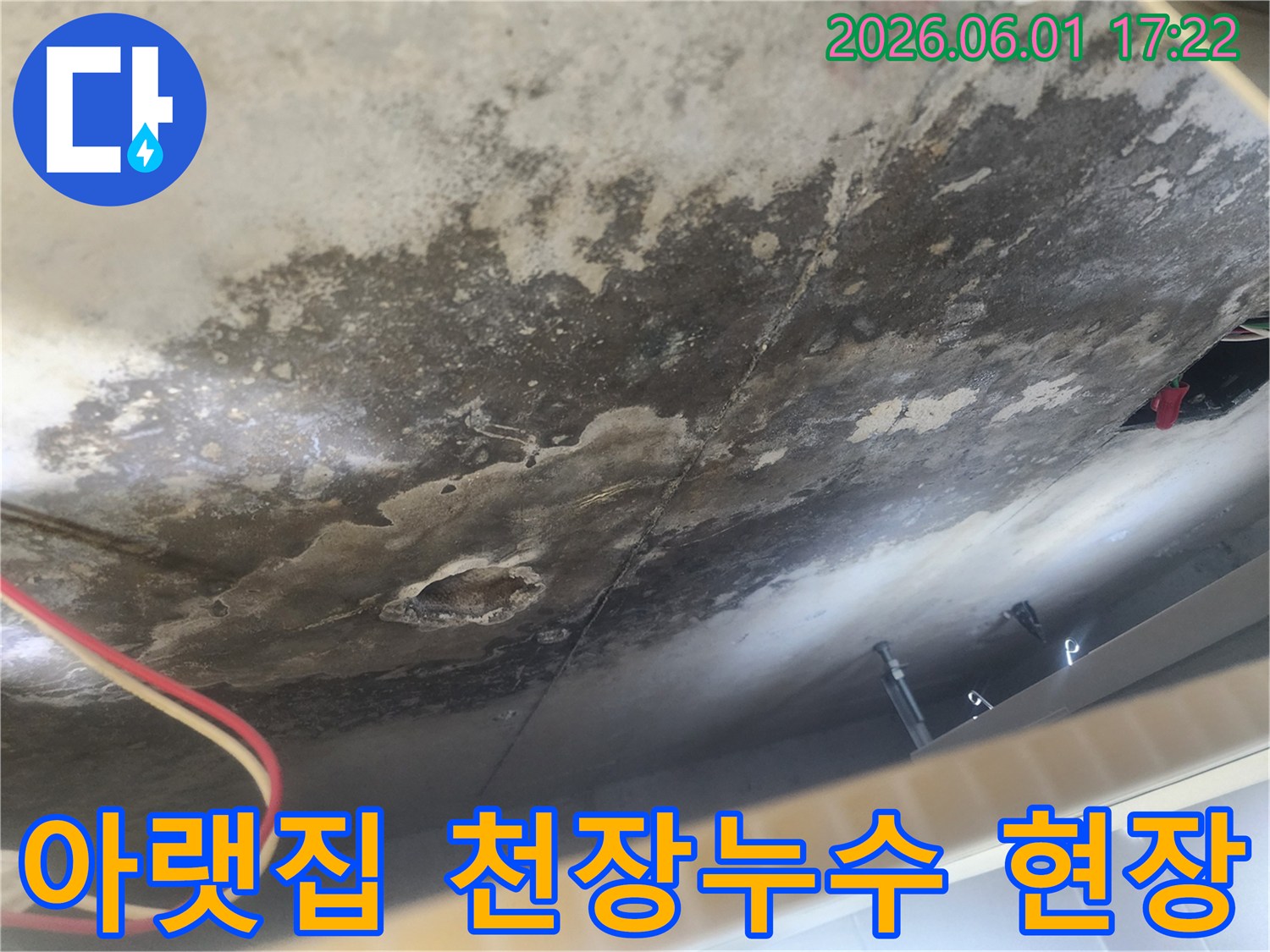 아랫집 천장에서-누수가 발생하여-곰팡이가 심하게 번진-모습을 보여주는 사진입니다.