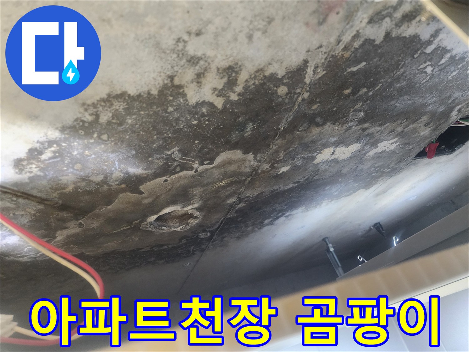 아파트 아랫집 천장에 발생한 누수 흔적-곰팡이와 물자국이 윗집으로부터의 누수를 명확히 보여주는 현장 사진입니다.