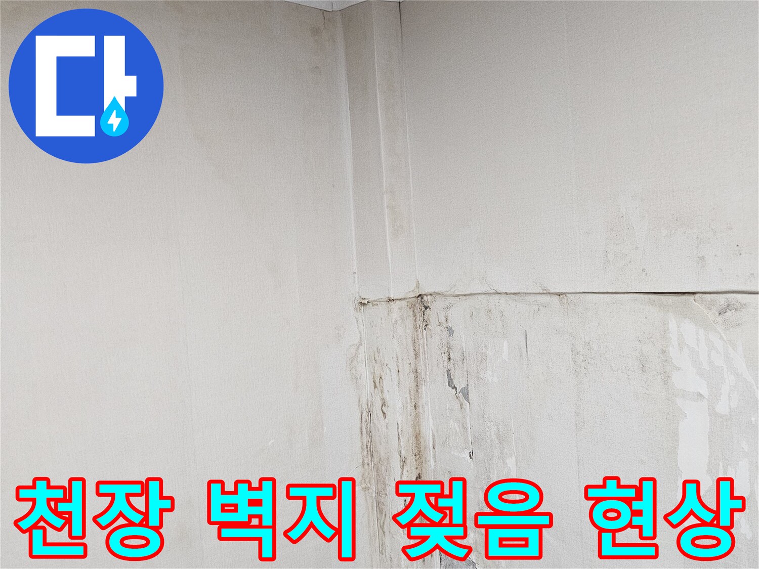 심하게 변색된 천장 벽지와 습기로 인해 부풀어 오른 마감재