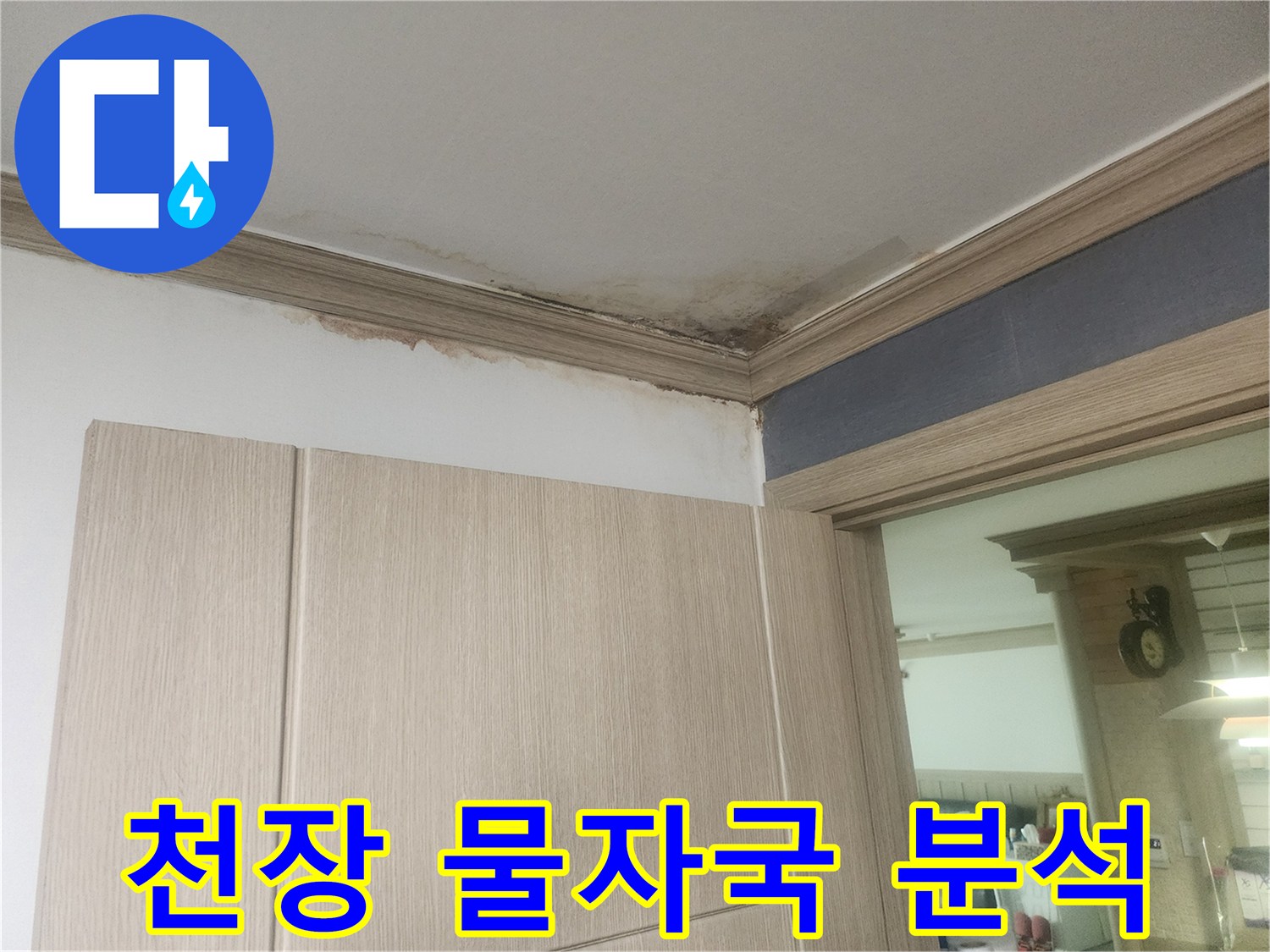 천장-모서리에-발생한-누수-얼룩과-곰팡이-현상으로-정밀한-원인-분석이-필요합니다.